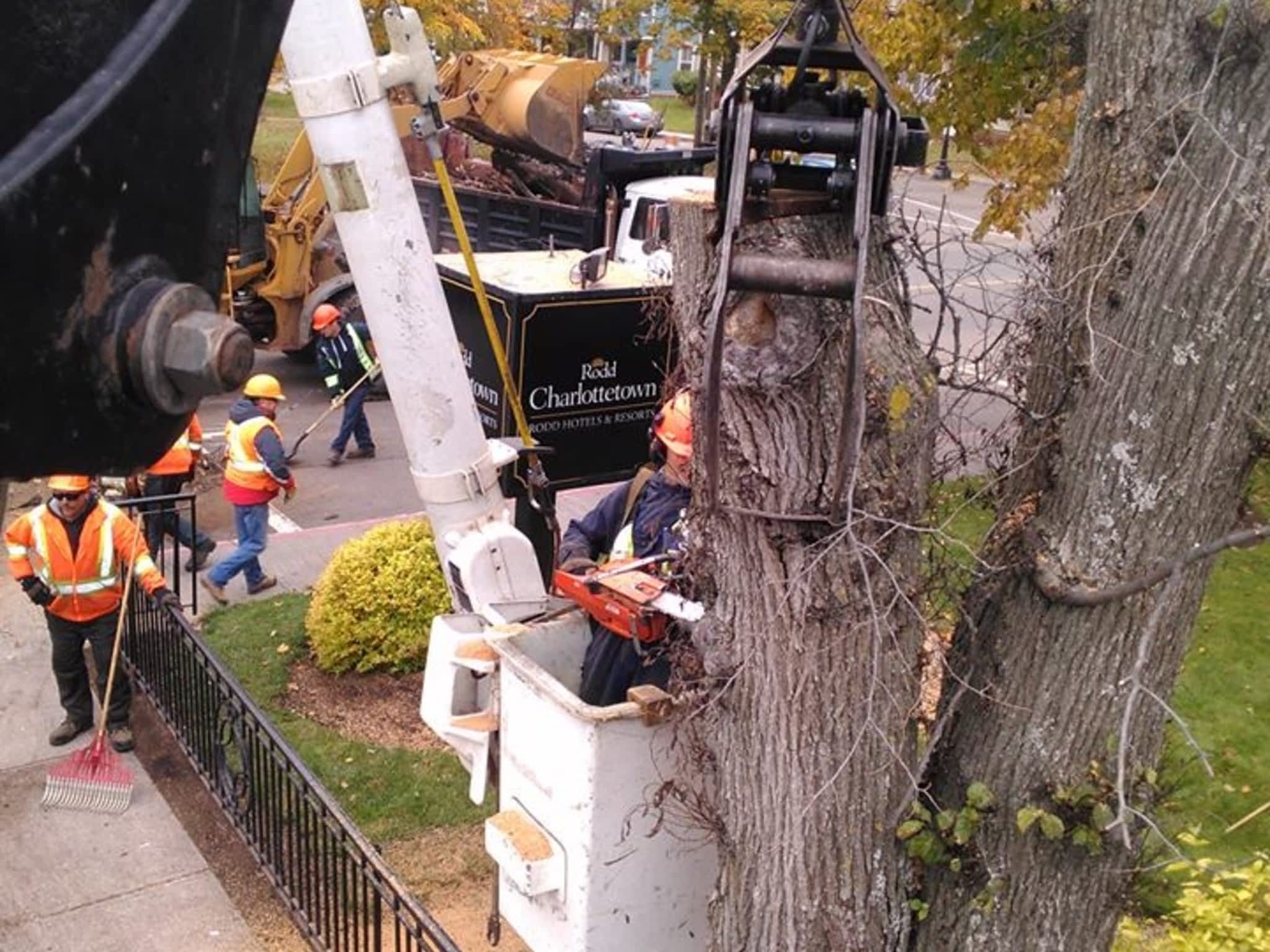 photo Branch Manager Tree Service