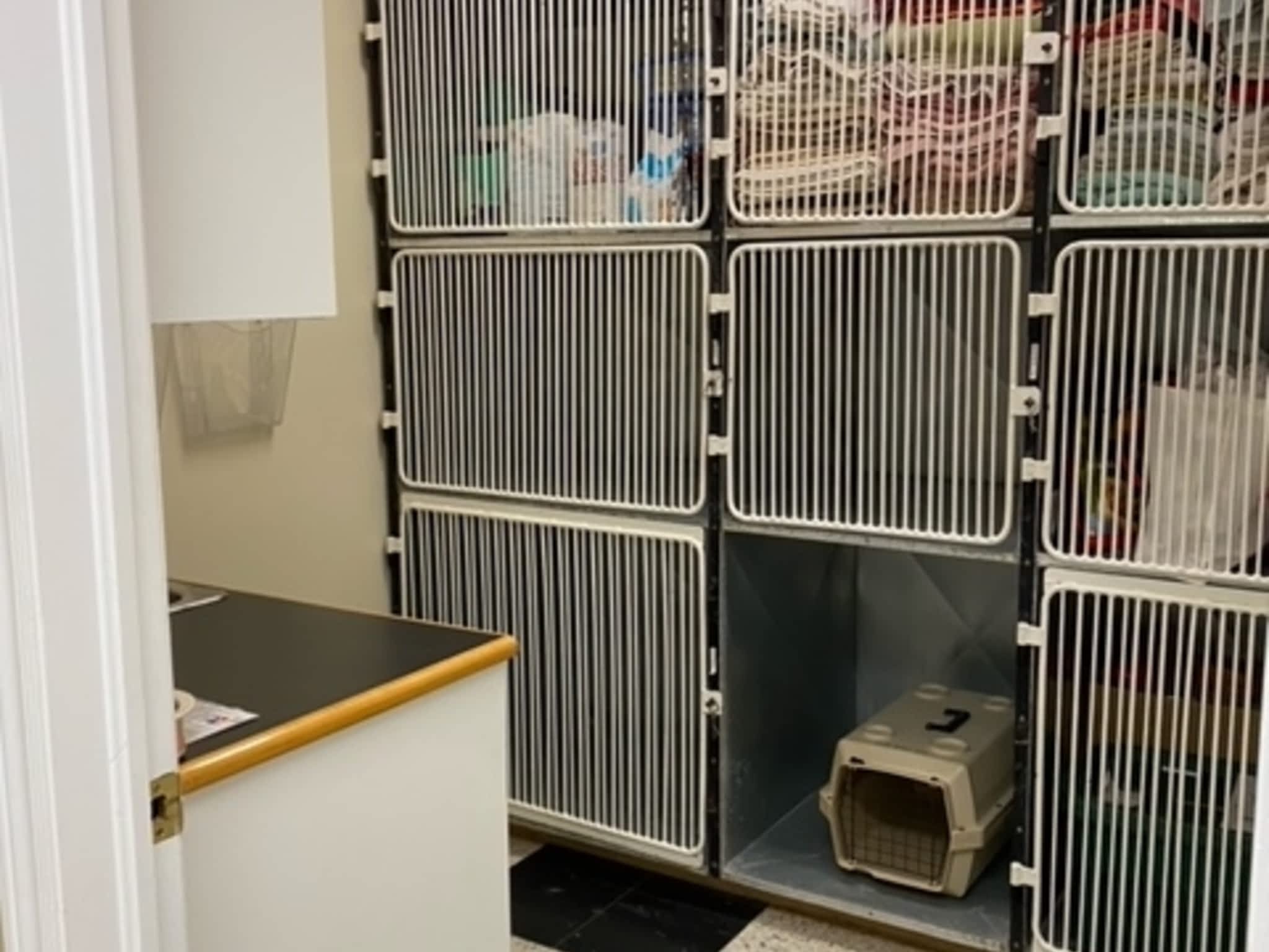 photo Gull River Veterinary Services