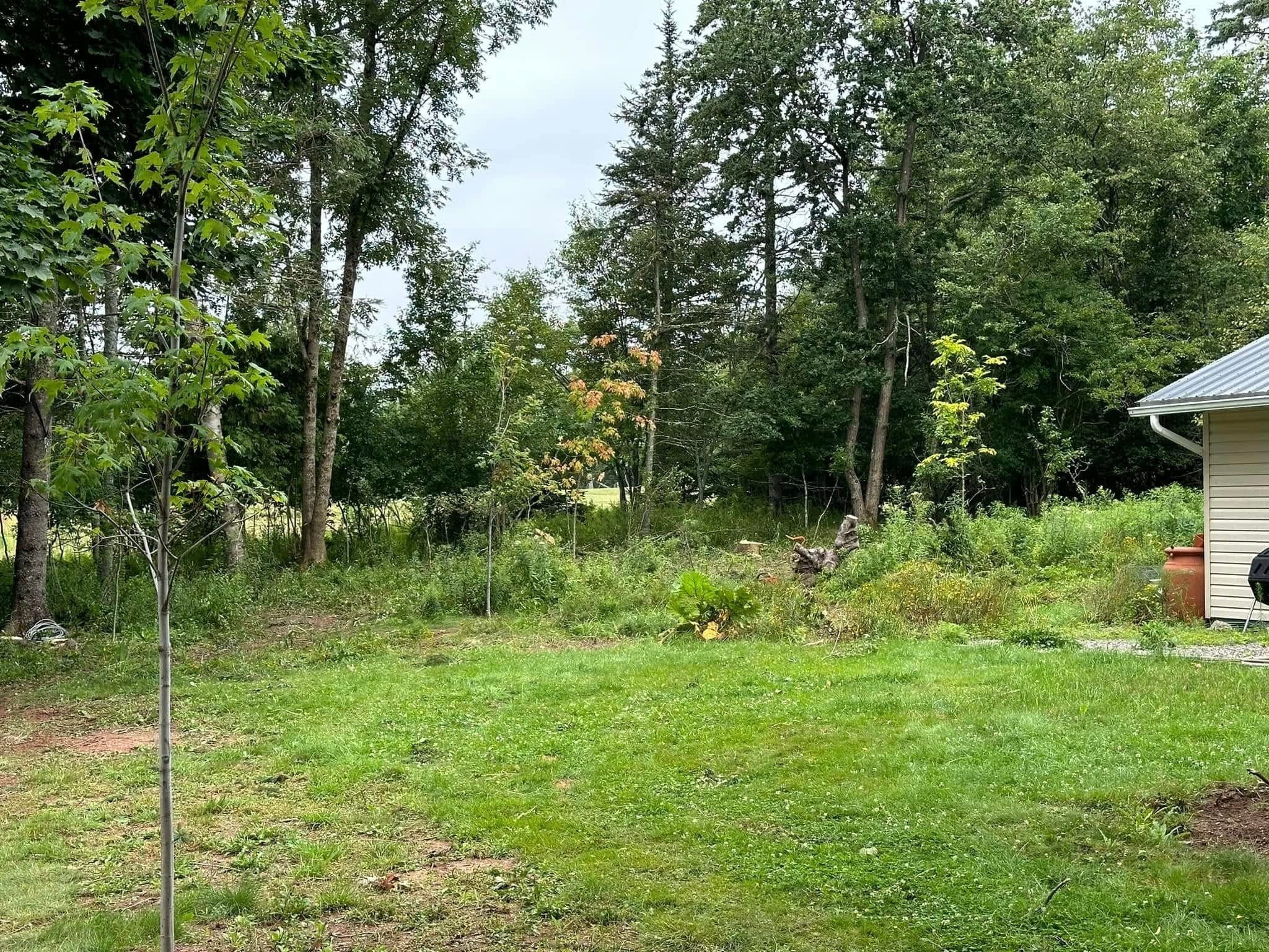 photo Cleghorn's Tree Service