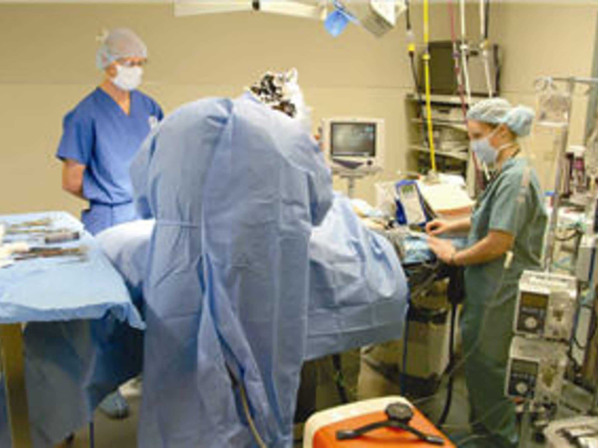 photo Canada West Veterinary Specialists & Critical Care Hospital