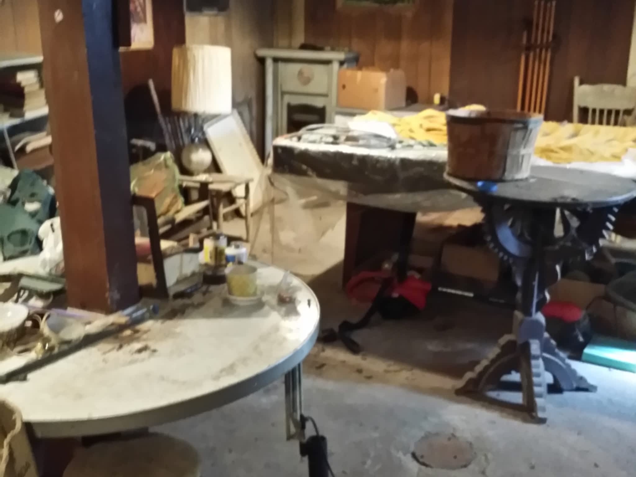 photo Goodbye Junk Cleanup & Bin Rental Services