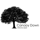 Canopy Down Arborscape - Tree Service