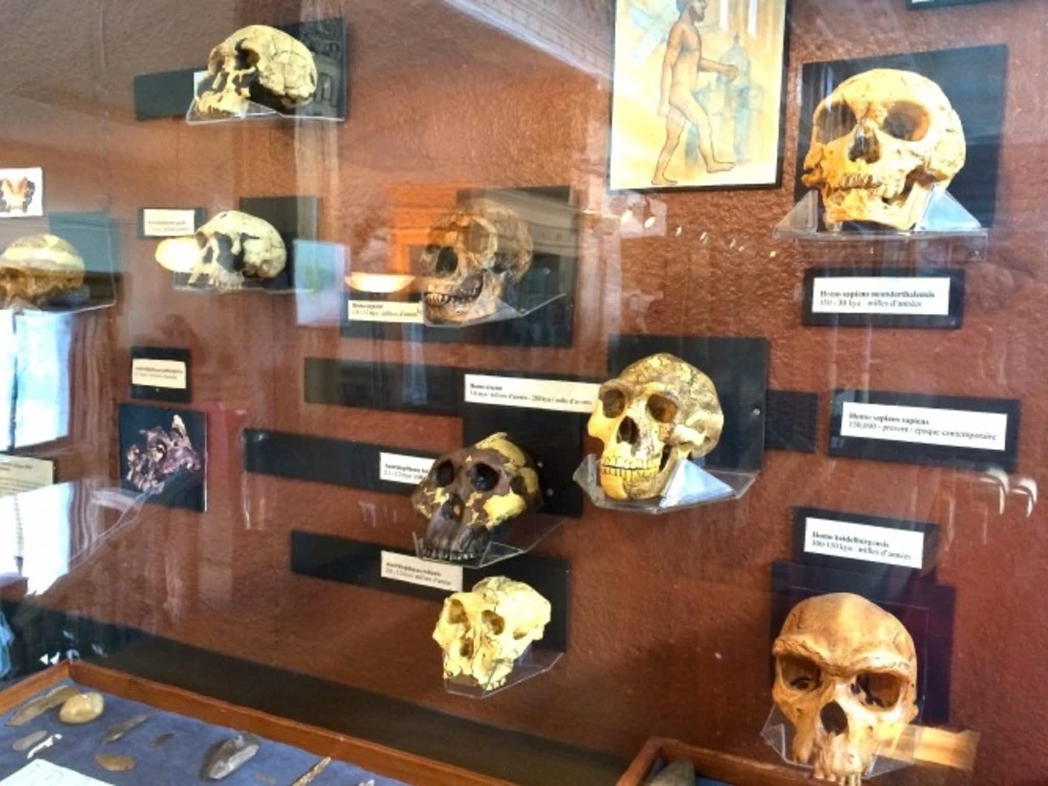 photo RedPath Museum