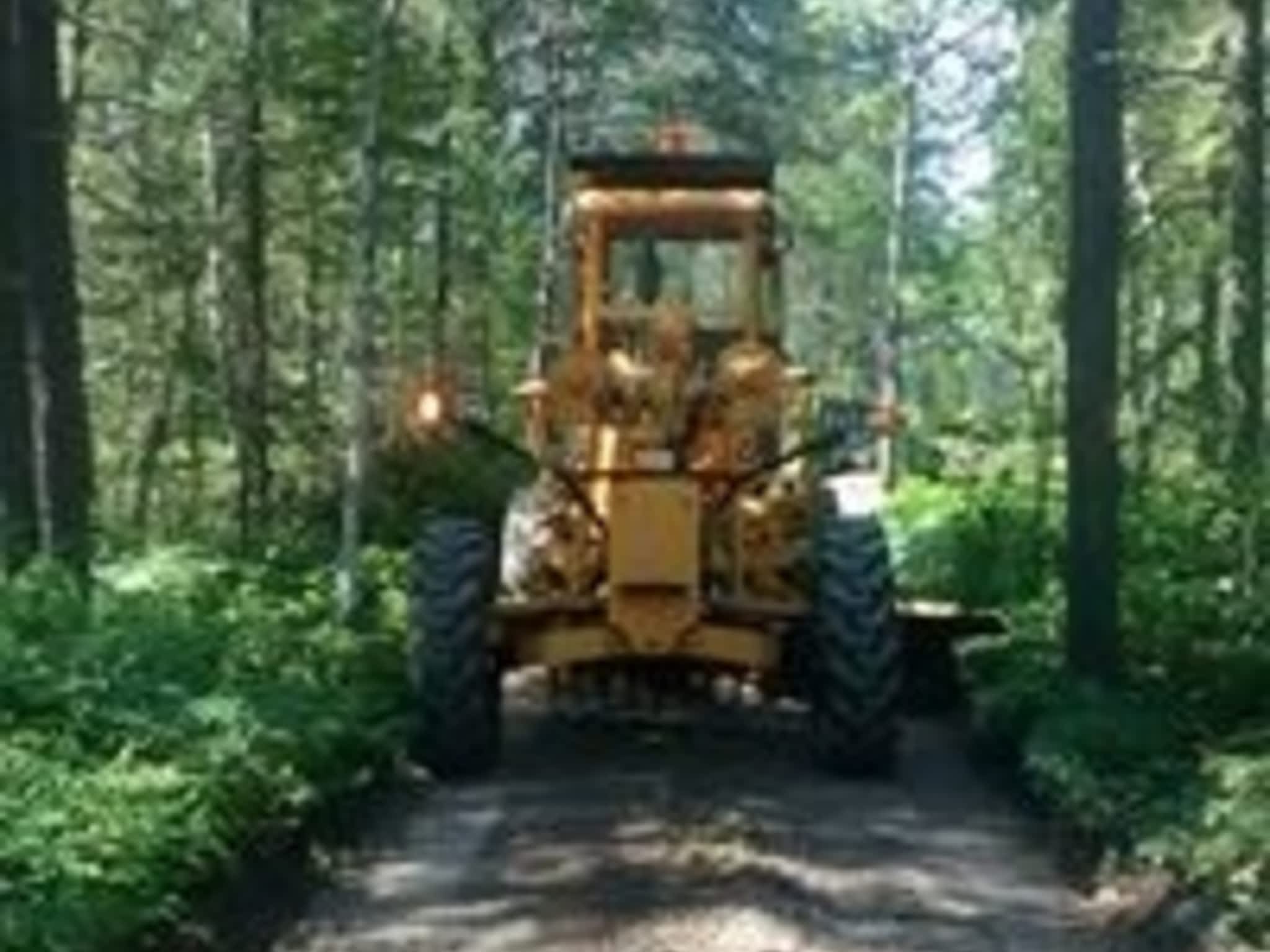 photo JRM excavation