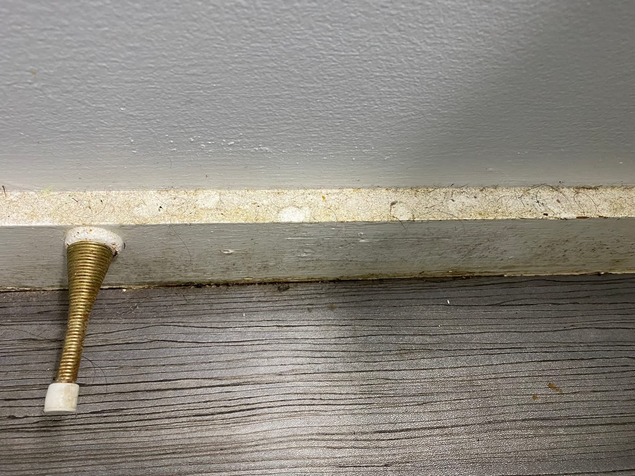 photo Voila Cleaning Services