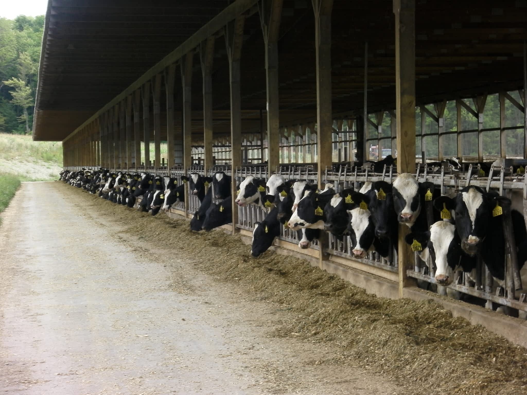 photo Cannington Veterinary Services