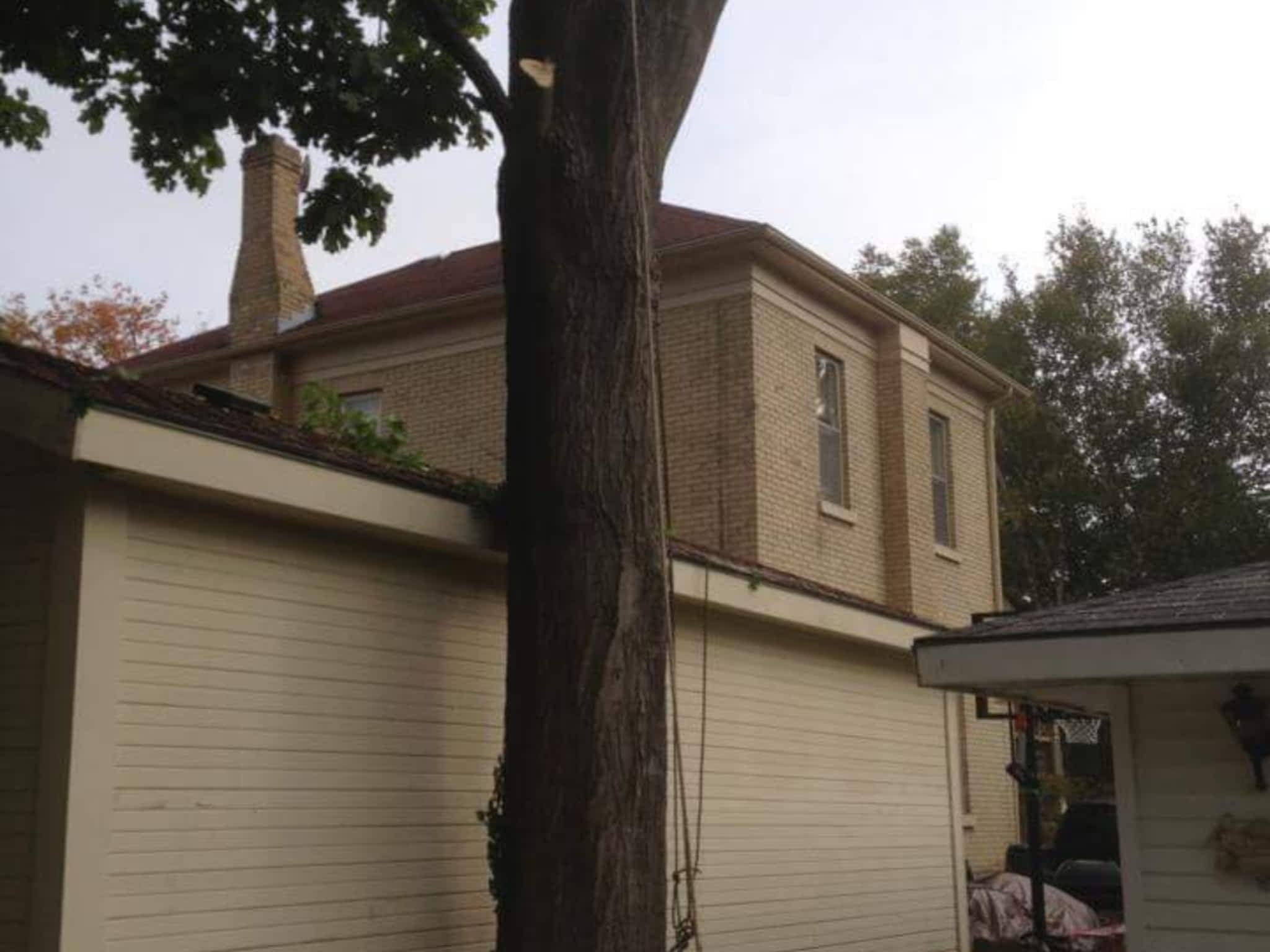 photo Winks Tree Service