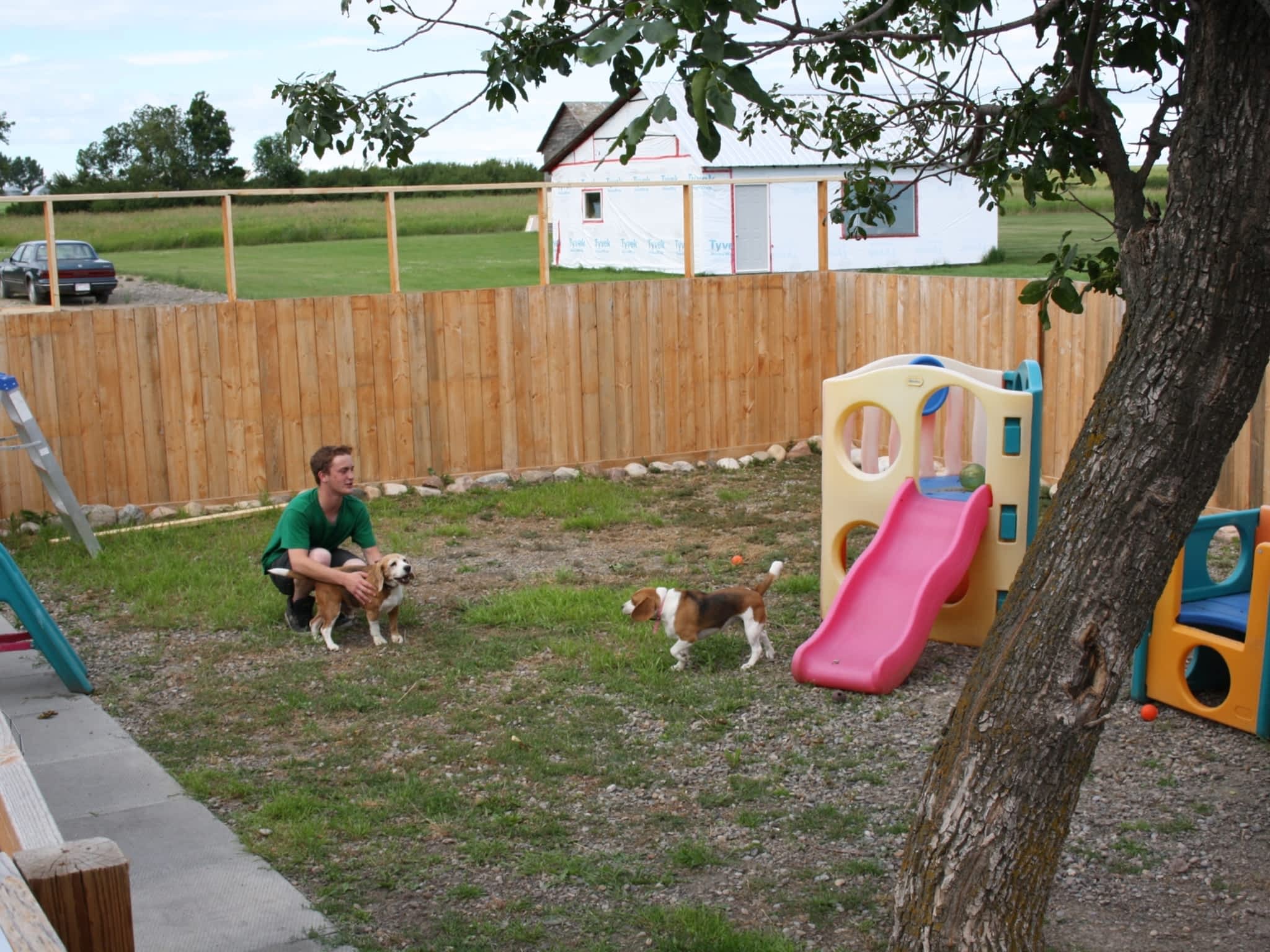 Country Home Kennels Canpages