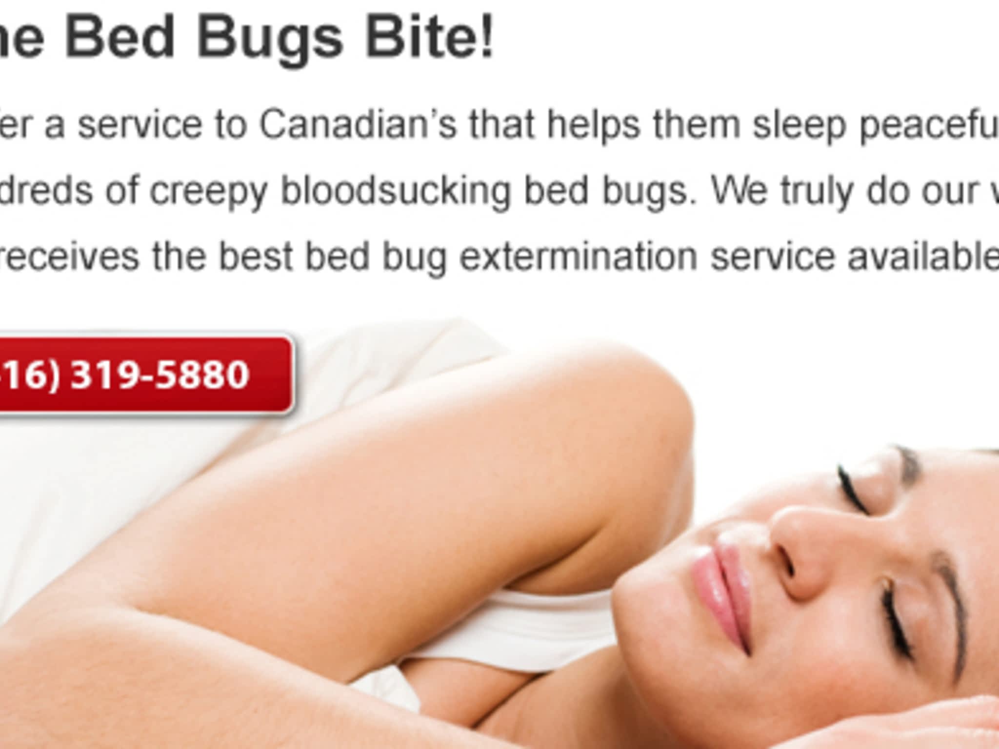photo Bed Bug Exterminator Pro