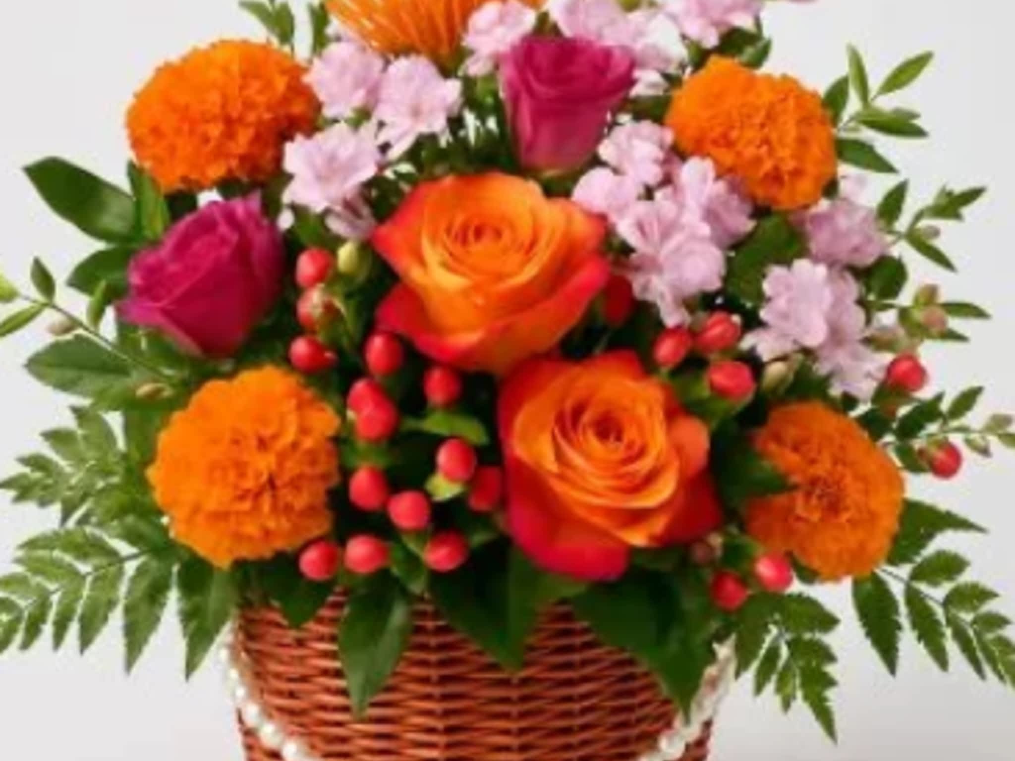 photo Snap And Stem Creative Studio