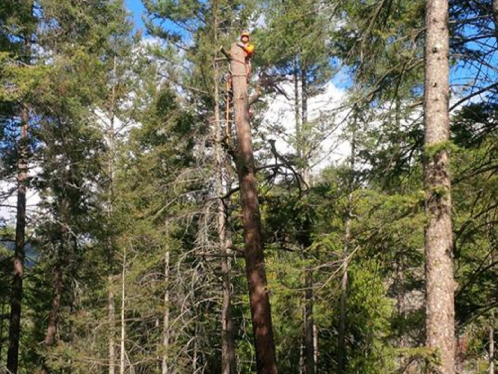 photo Gaudet Tree Services
