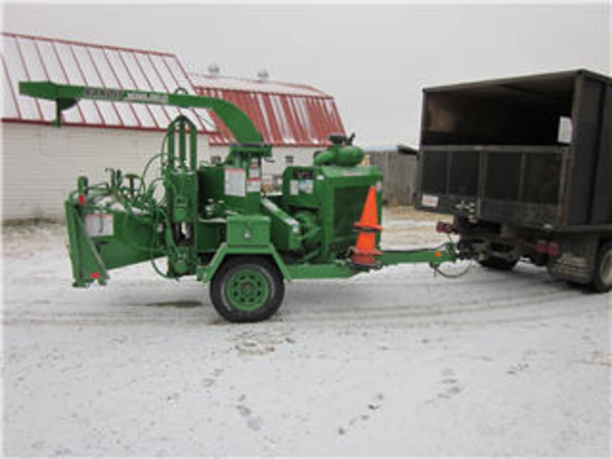 photo Forest Stump Tree Service