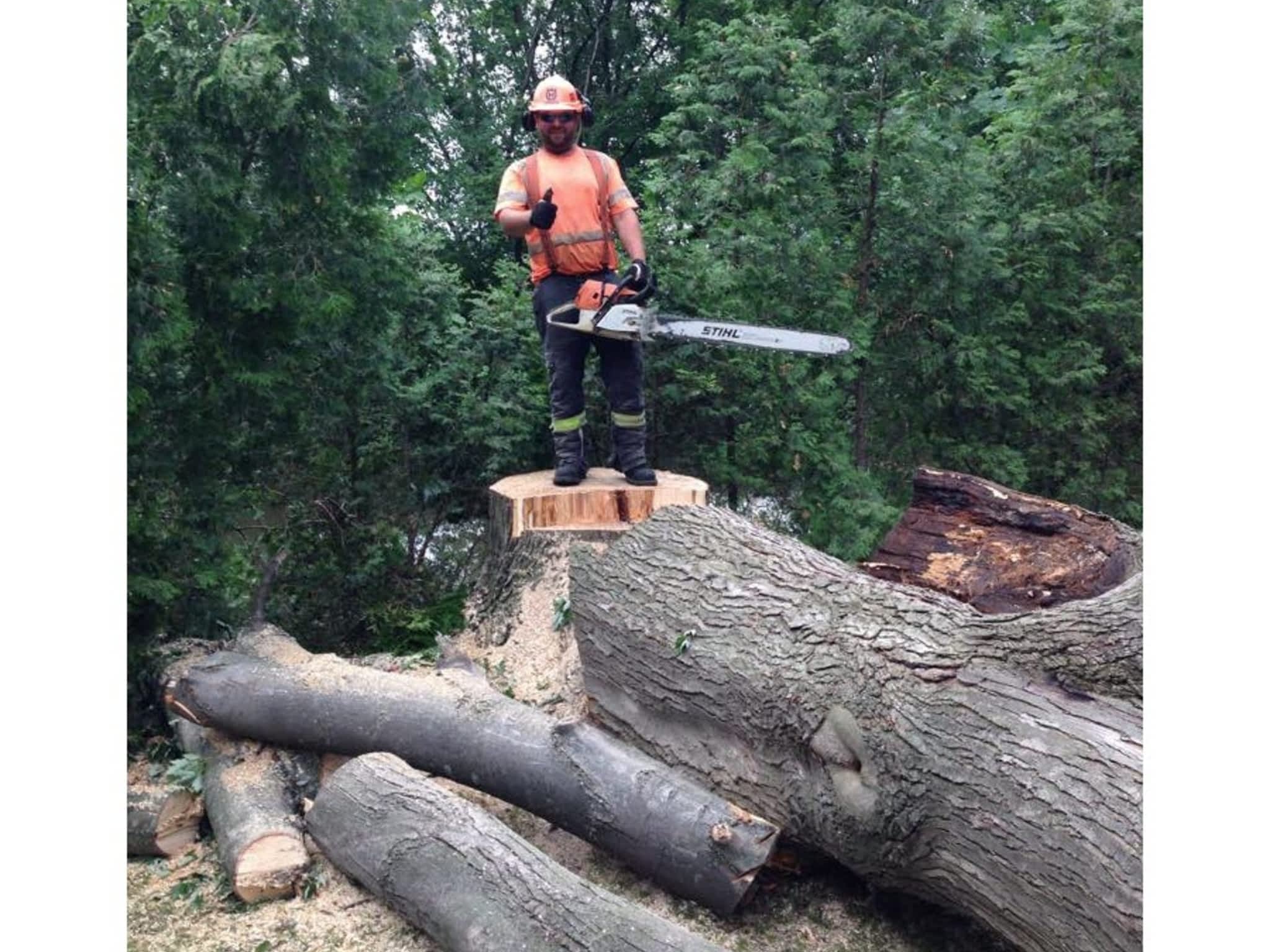 photo Sydenham Tree Service