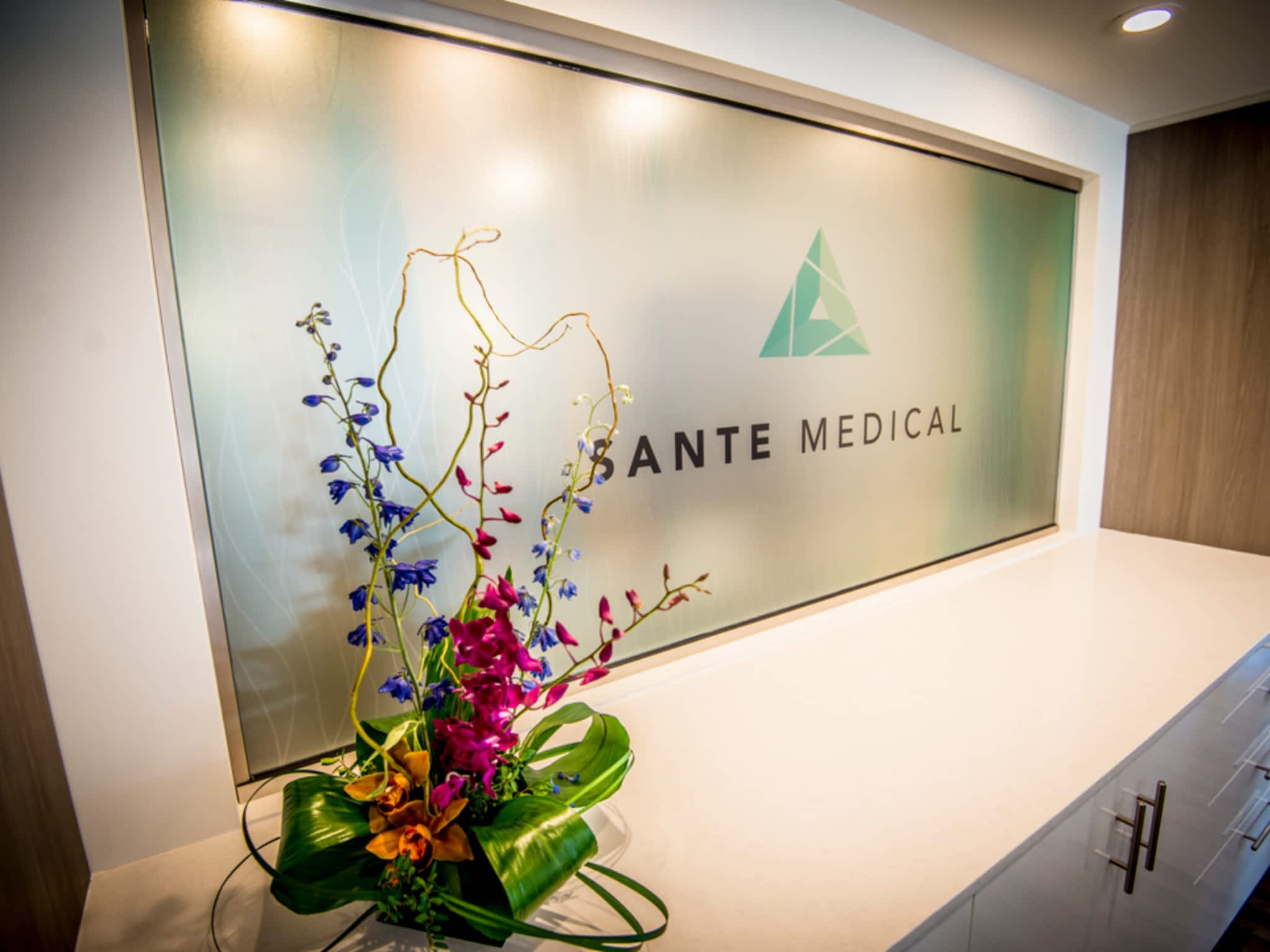 photo Hair Restoration Institute at Sante Medical
