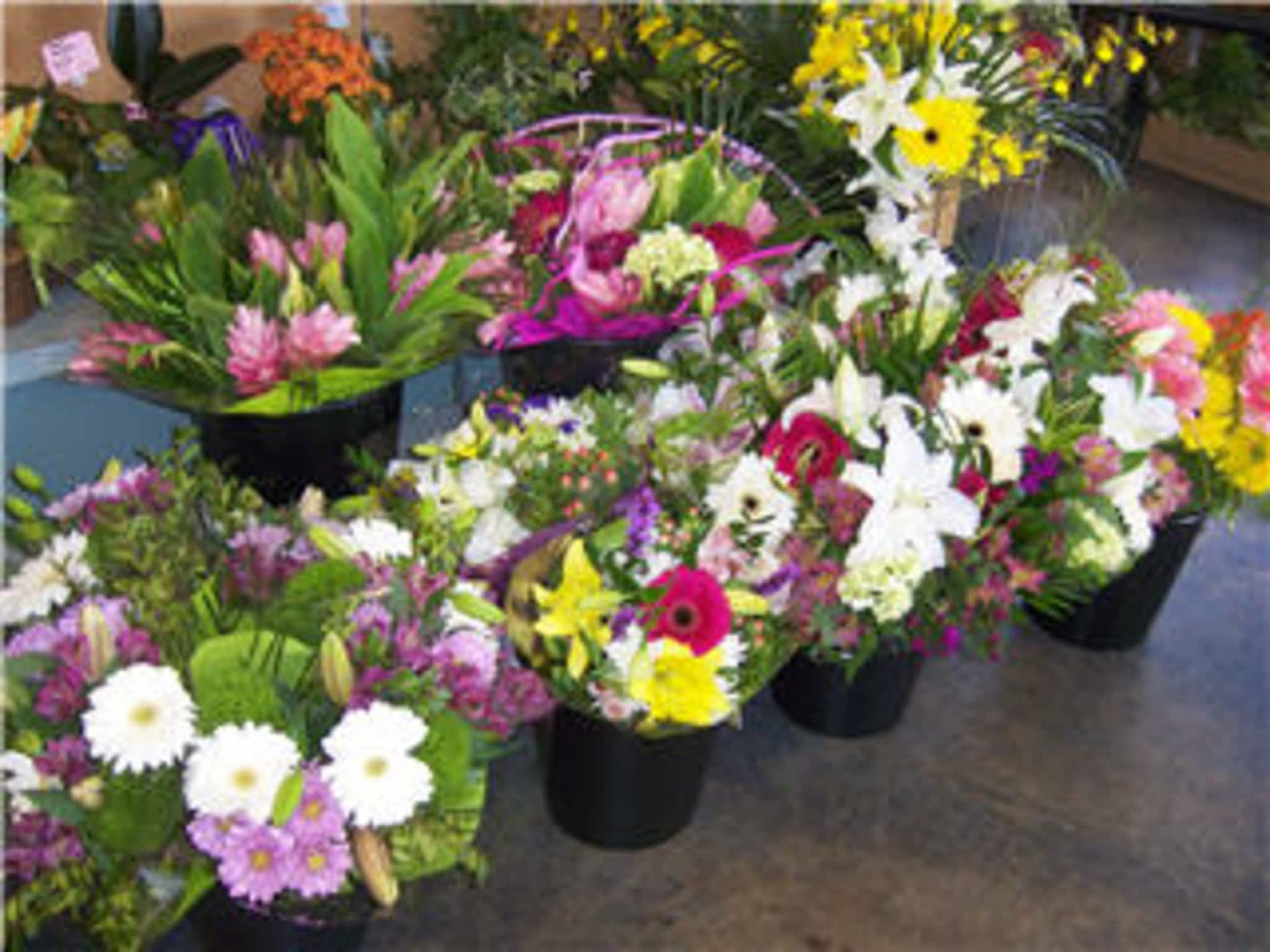 photo Bunches Flowers Co. Parkallen