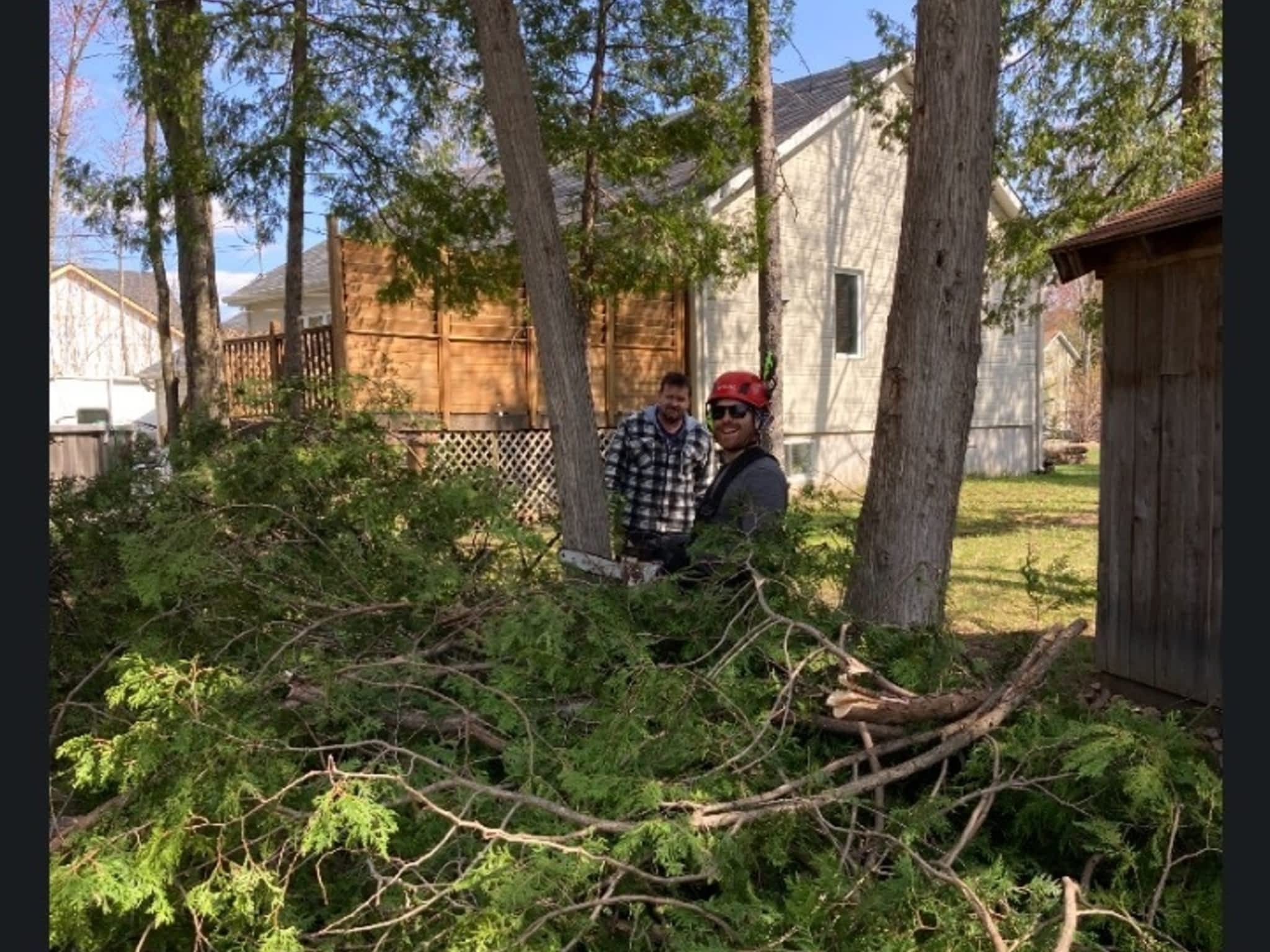 photo Arbo-douceur inc