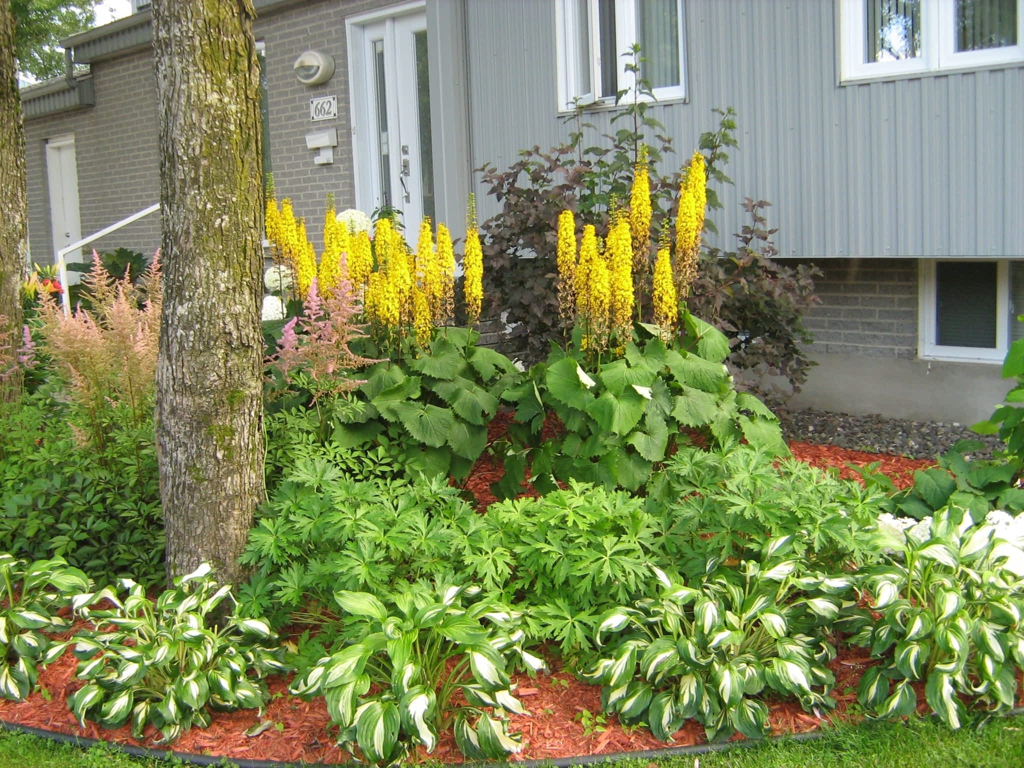 photo L'Effeuilleuse