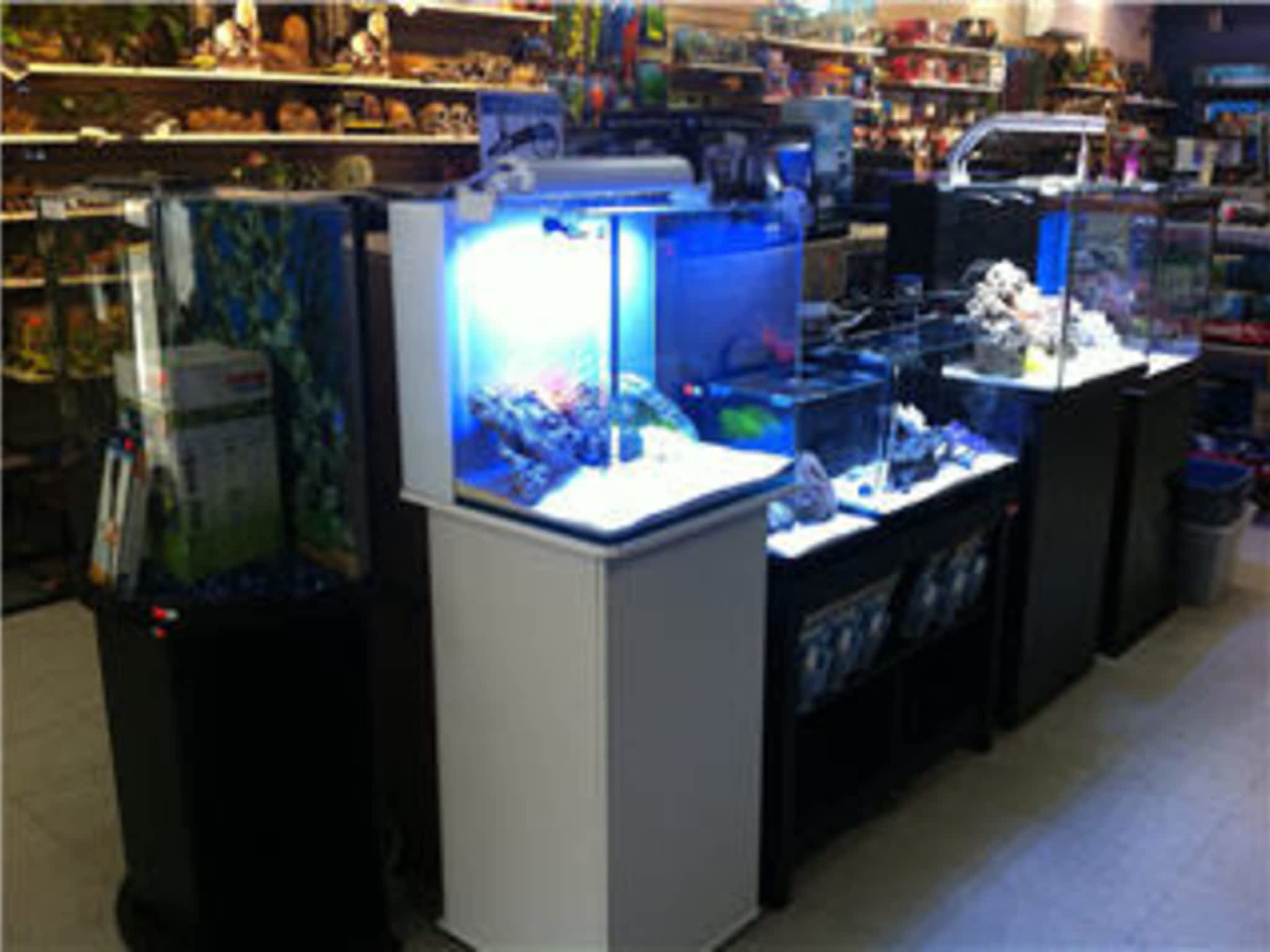 photo AJ's Pets & Things