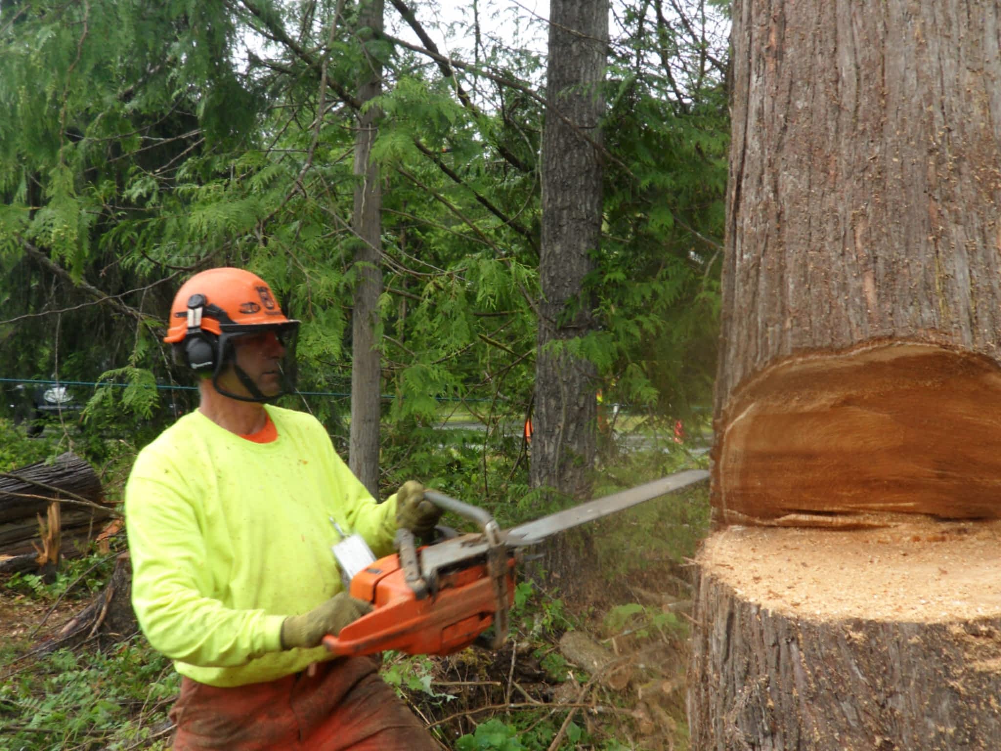 photo High Line Environmental