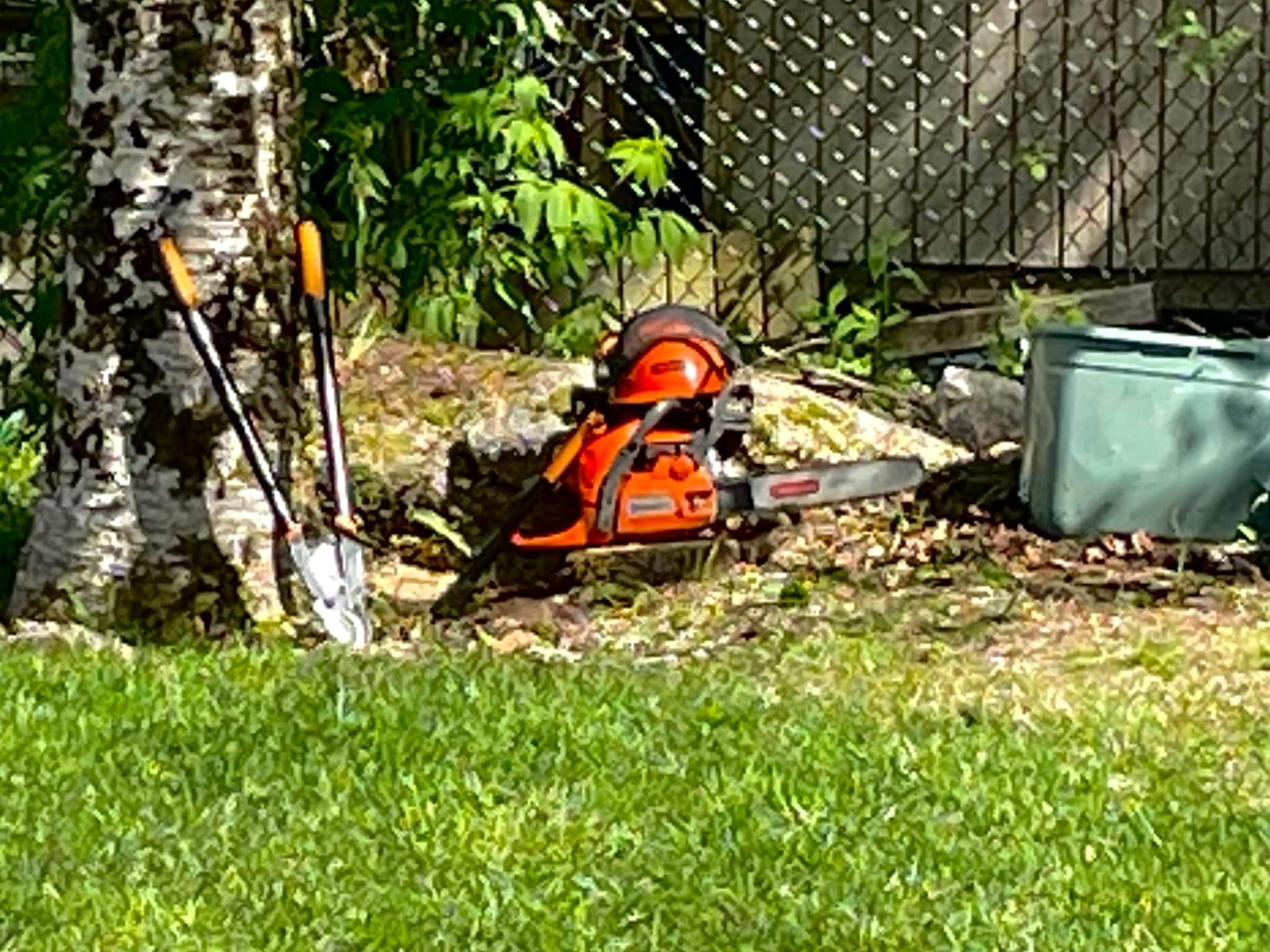 photo Brad's Tree Pro