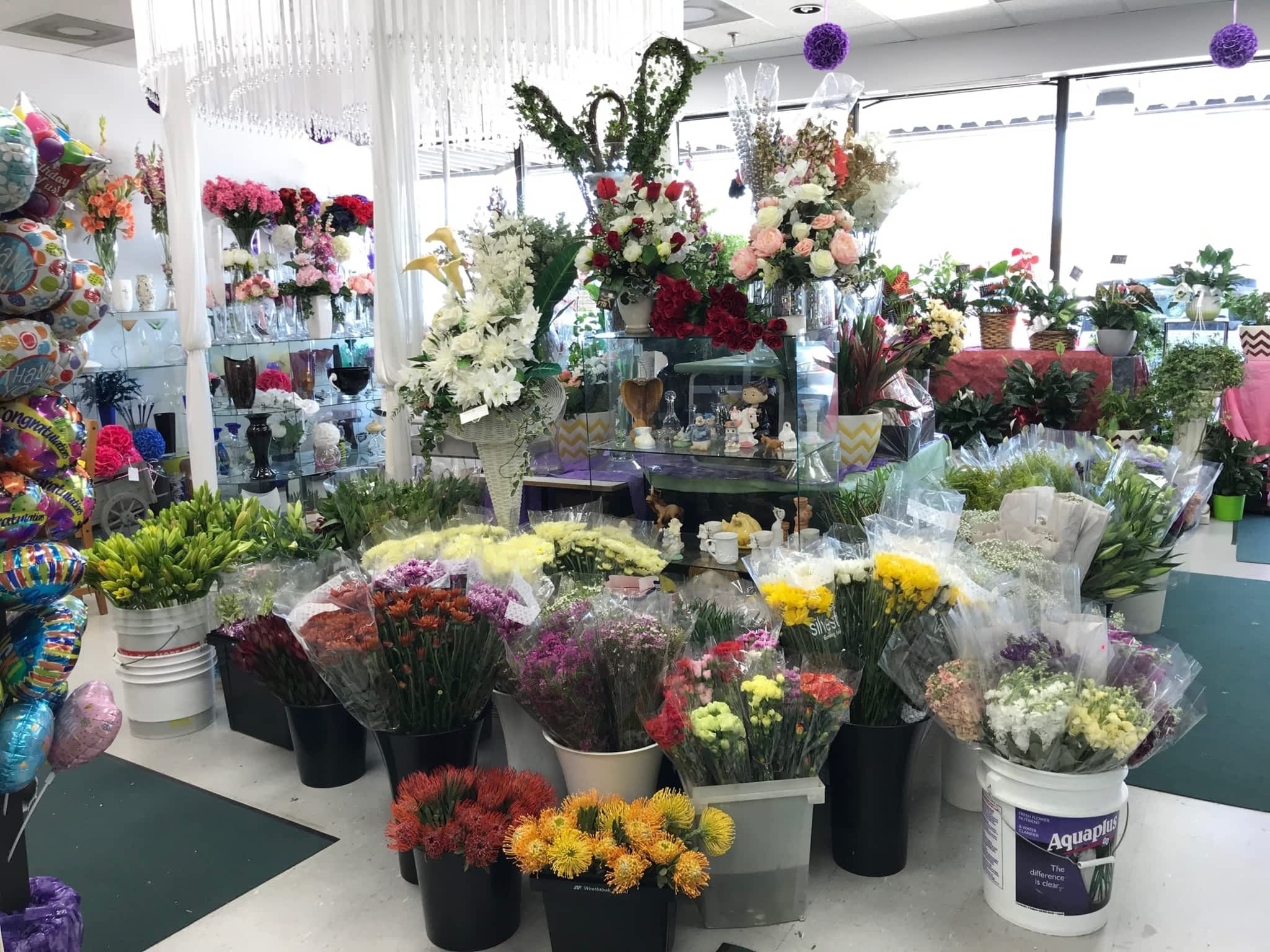 Shalimar Flower Shop Brampton, ON 227 Queen St E Canpages