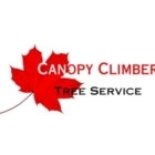 Canopy Climber Tree Service - Tree Service