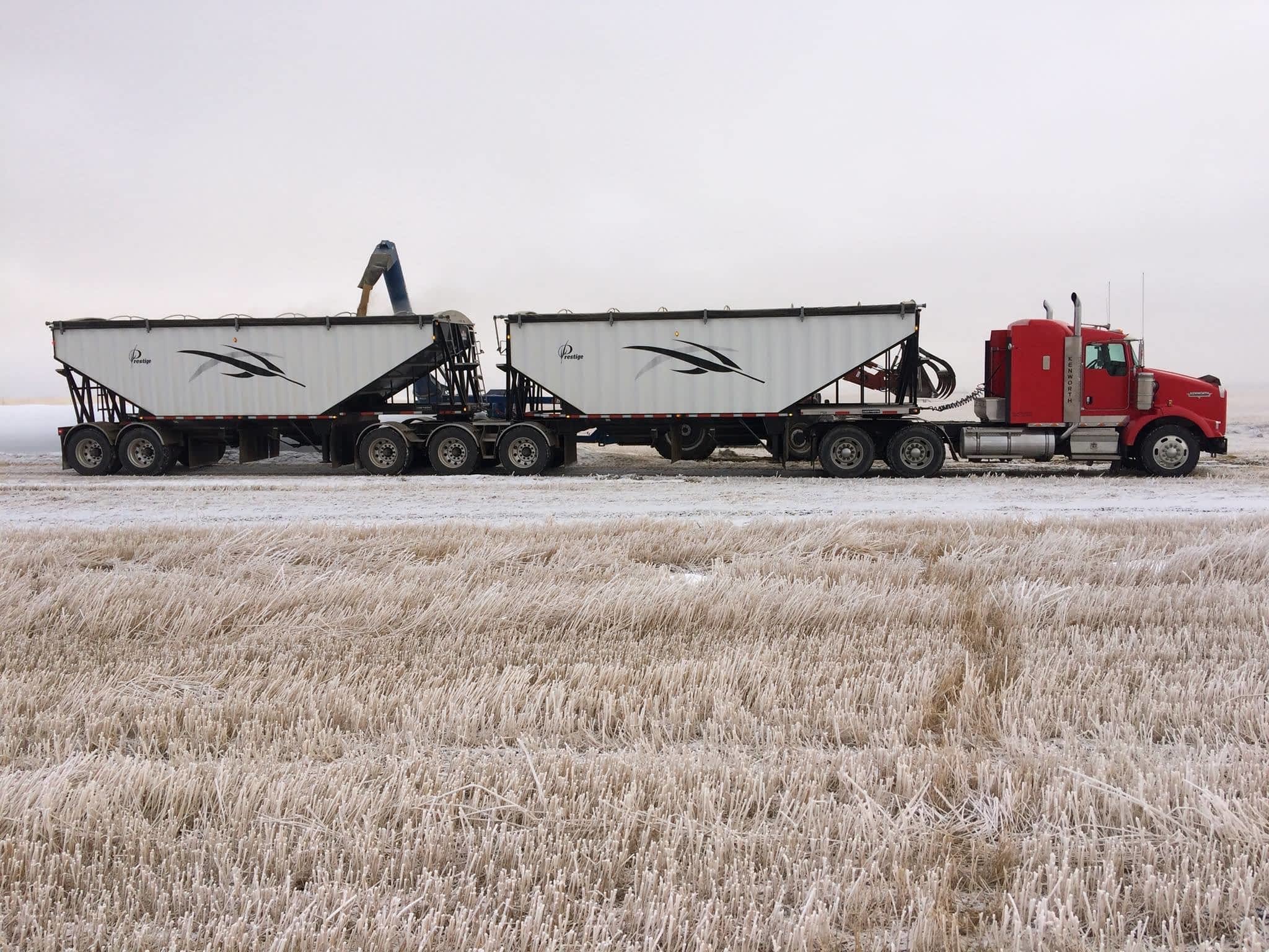 photo Warrack Grain & Cattle Carriers Ltd