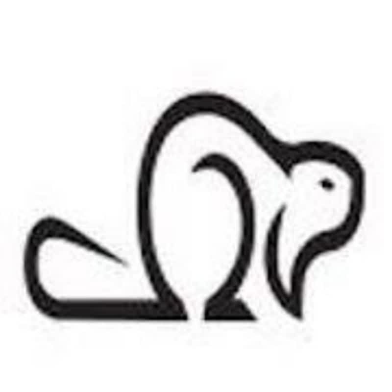 photo Foosh Builders