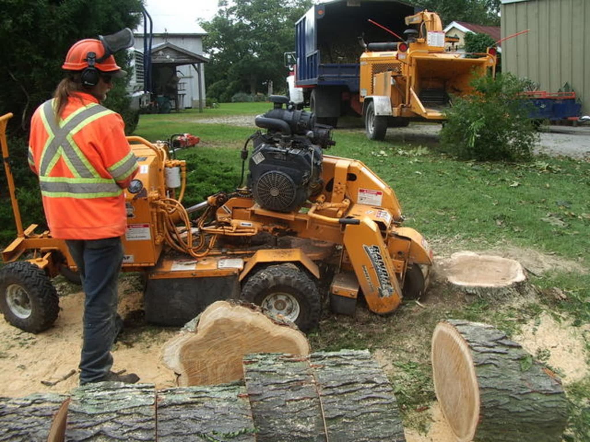 photo Brockley Tree Service