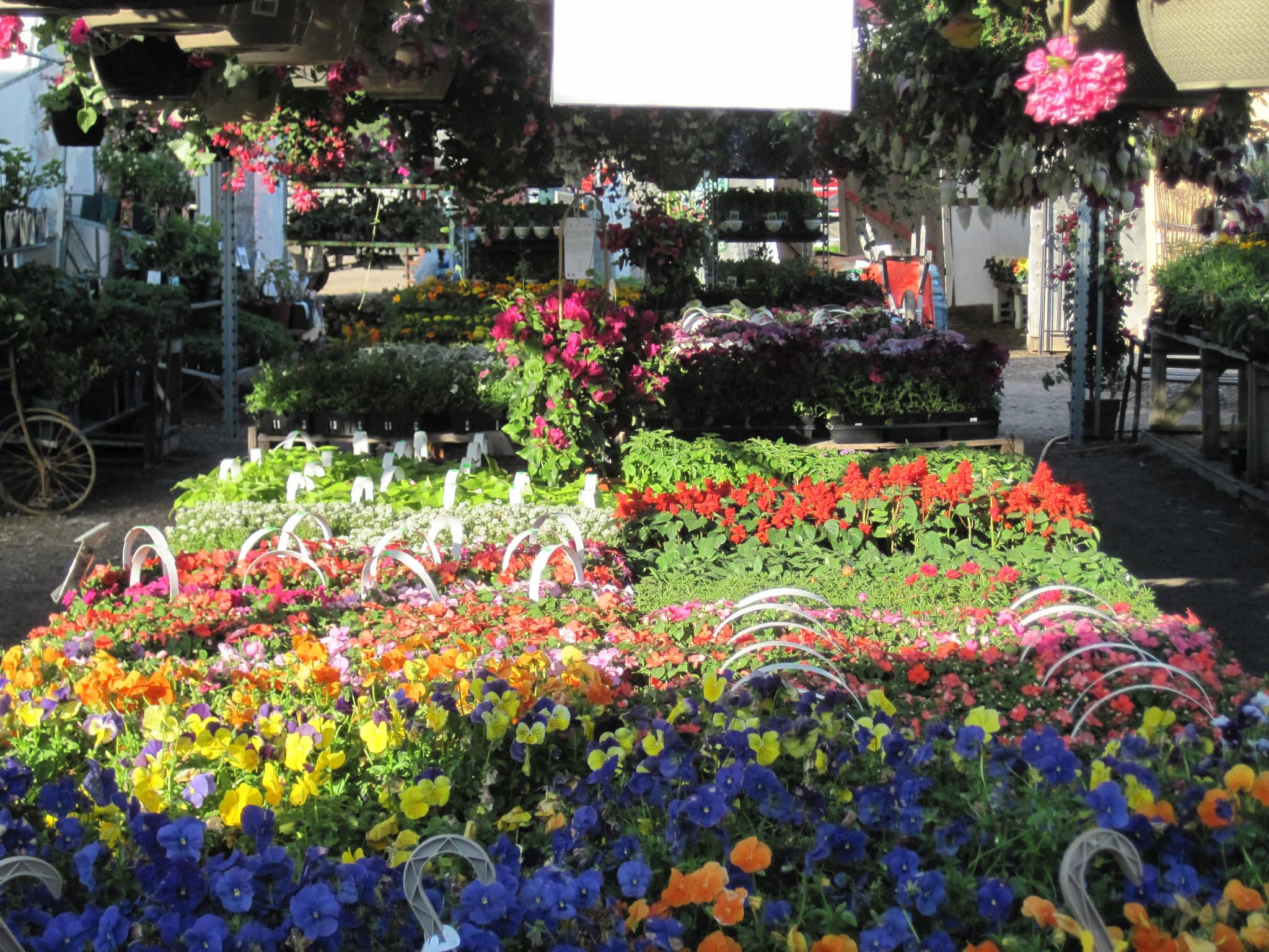 photo Peterborough Landscape Supply