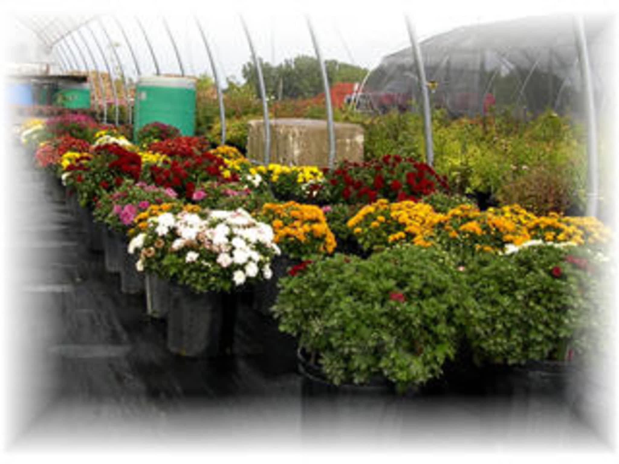 Plants Choice Welland, ON 270 Humberstone Rd Canpages