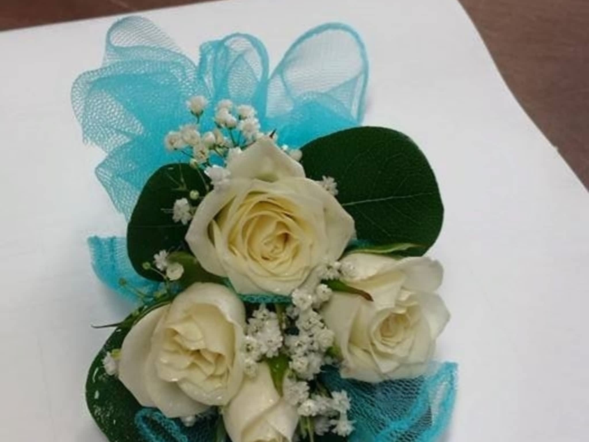 photo Blooms Flowers