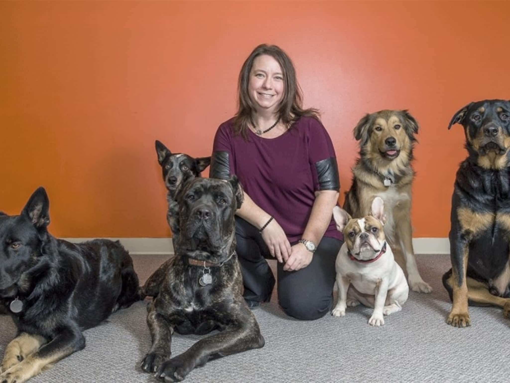 photo Clever Canines Ltd