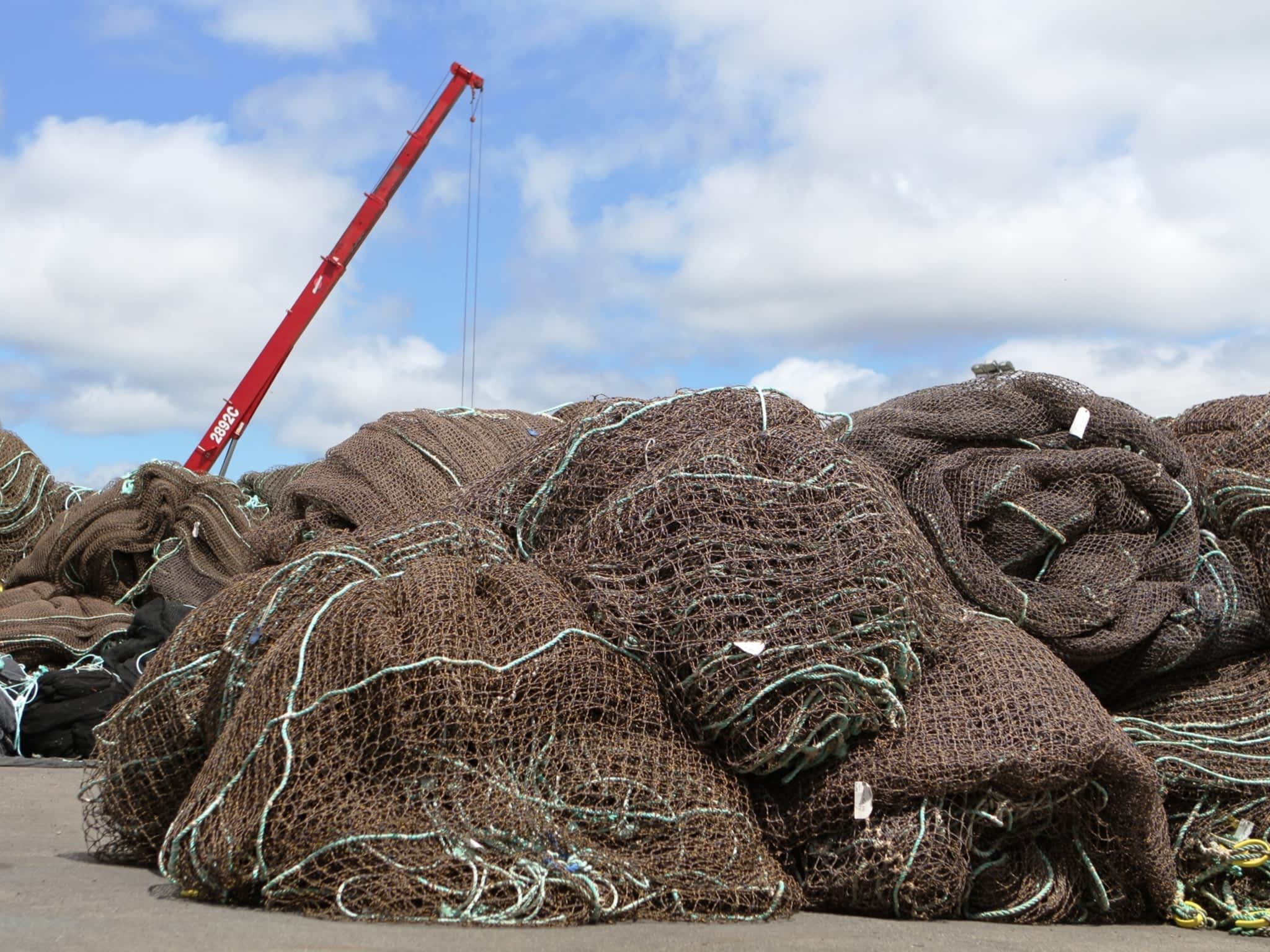 photo Future Nets Crane Service