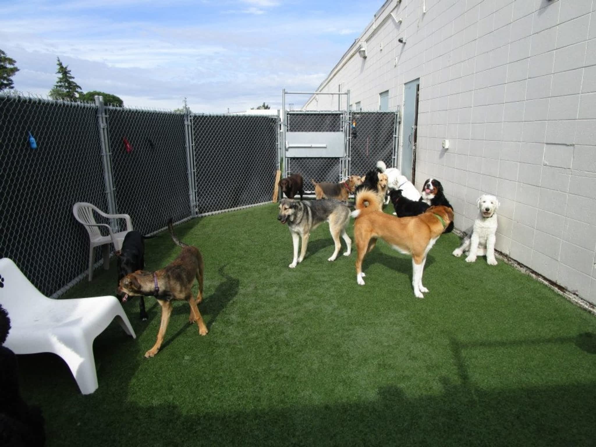 photo Ruff Spot Dog Day Care & Spa