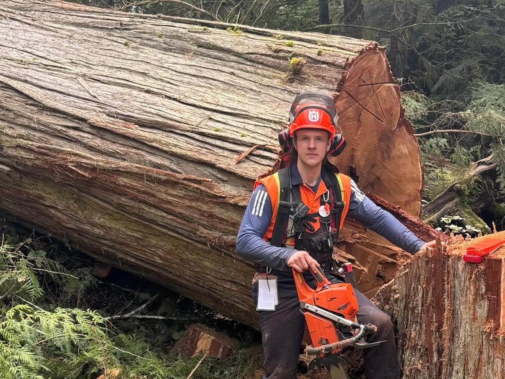 photo Valhalla Falling & Tree Services