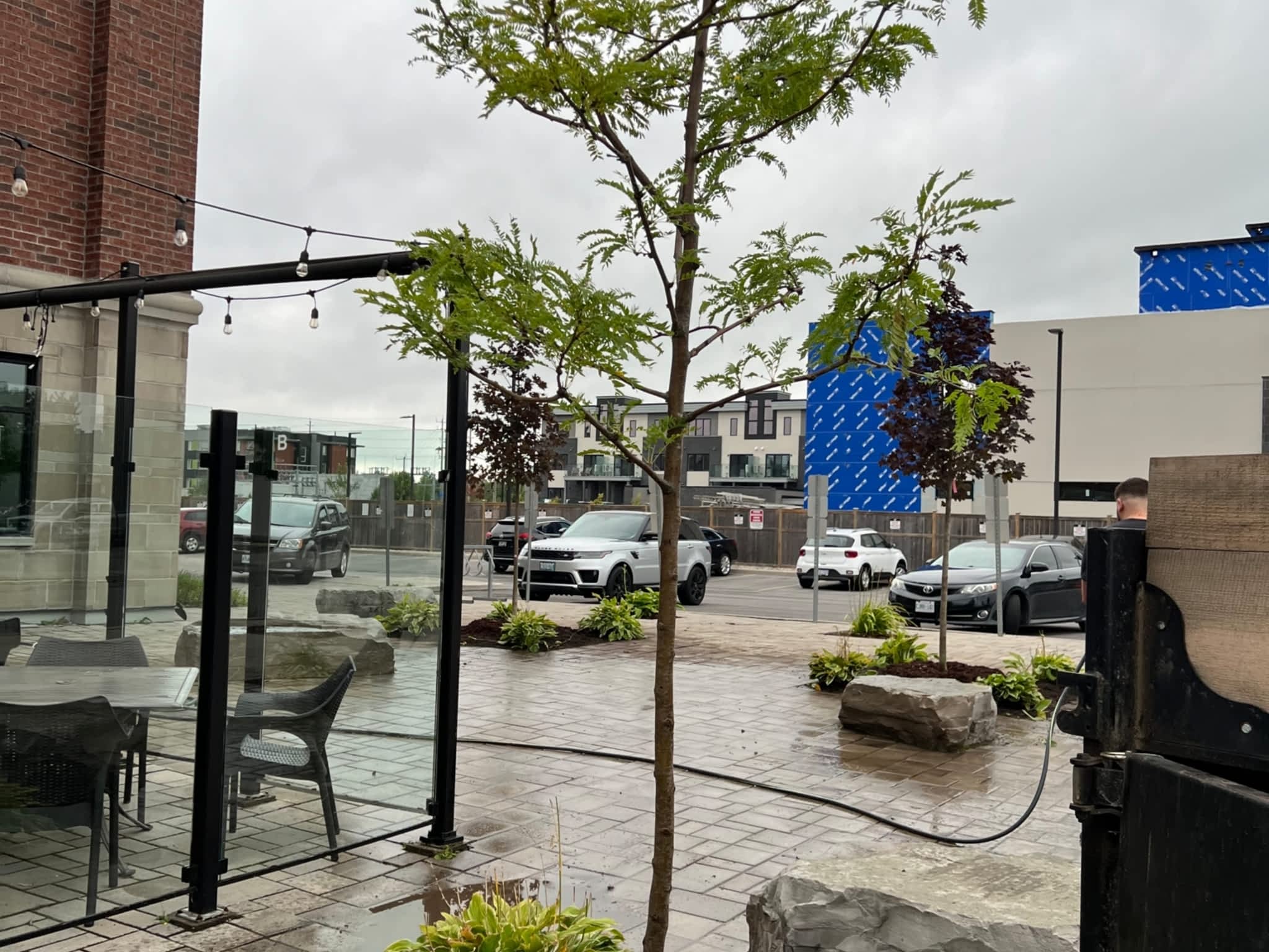 photo Juneau Tree Services