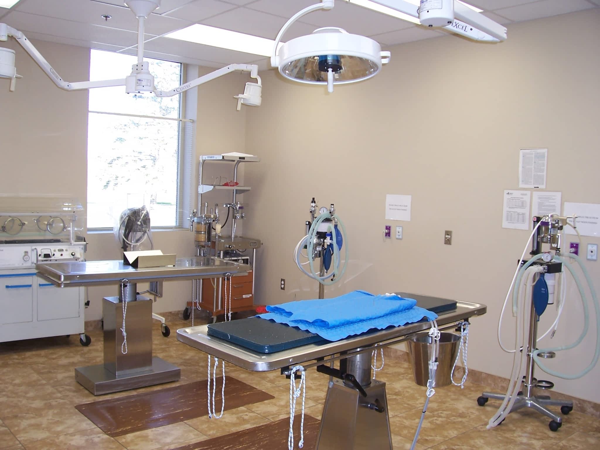 Niagara Veterinary Emergency Clinic Thorold, ON 3300 Merrittville