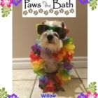 Paws In The Bath - Pet Grooming, Clipping & Washing