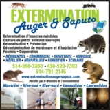 Extermination Auger & Saputo - Extermination et fumigation