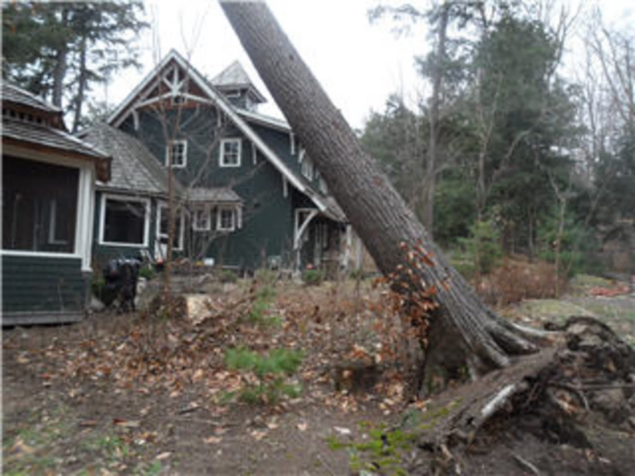 photo Bark Ridge Tree Service