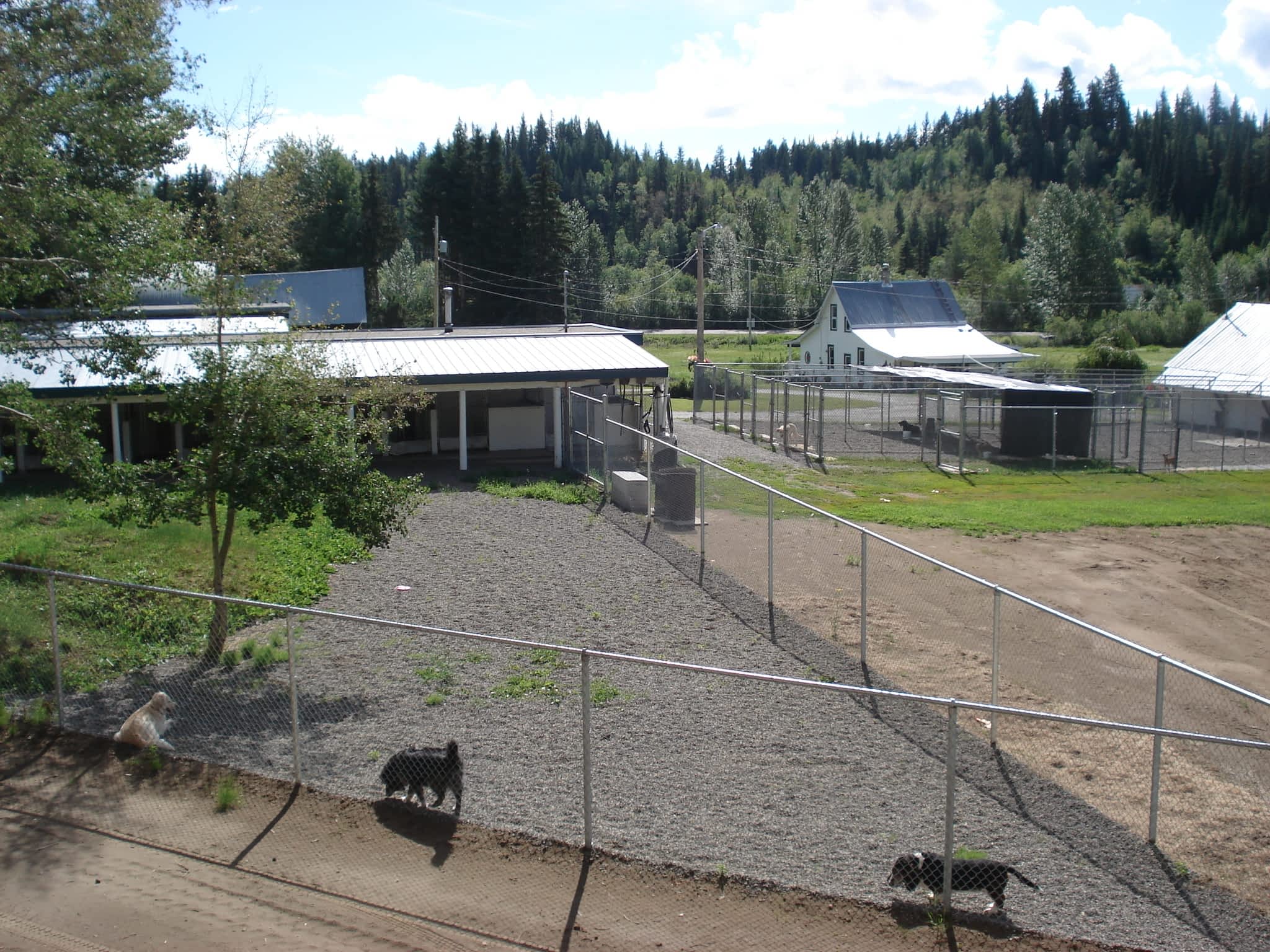 Mackye Kennels Prince BC 7955 Old Summit Lake Rd Canpages