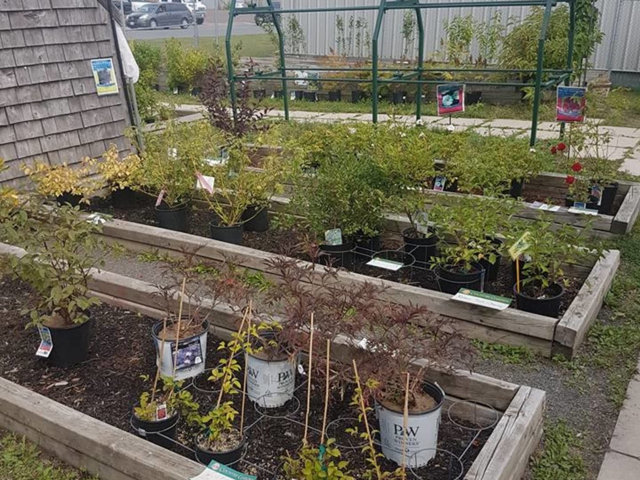 Coop Country Store Moncton, NB 200 Collishaw St Canpages