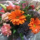 Daoust Fleurs & Cadeaux - Florists & Flower Shops