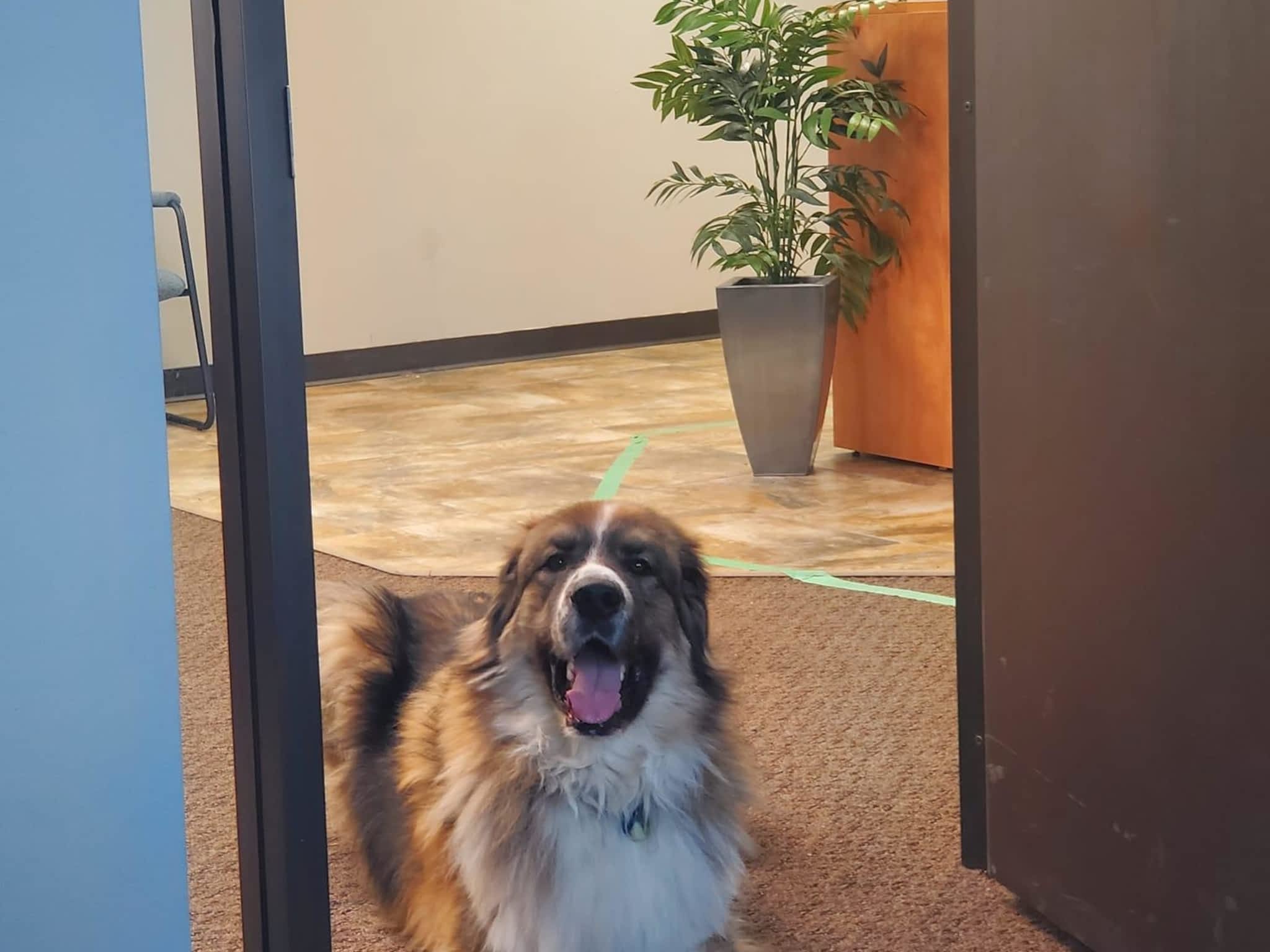 photo Adroit Technologies Ltd.