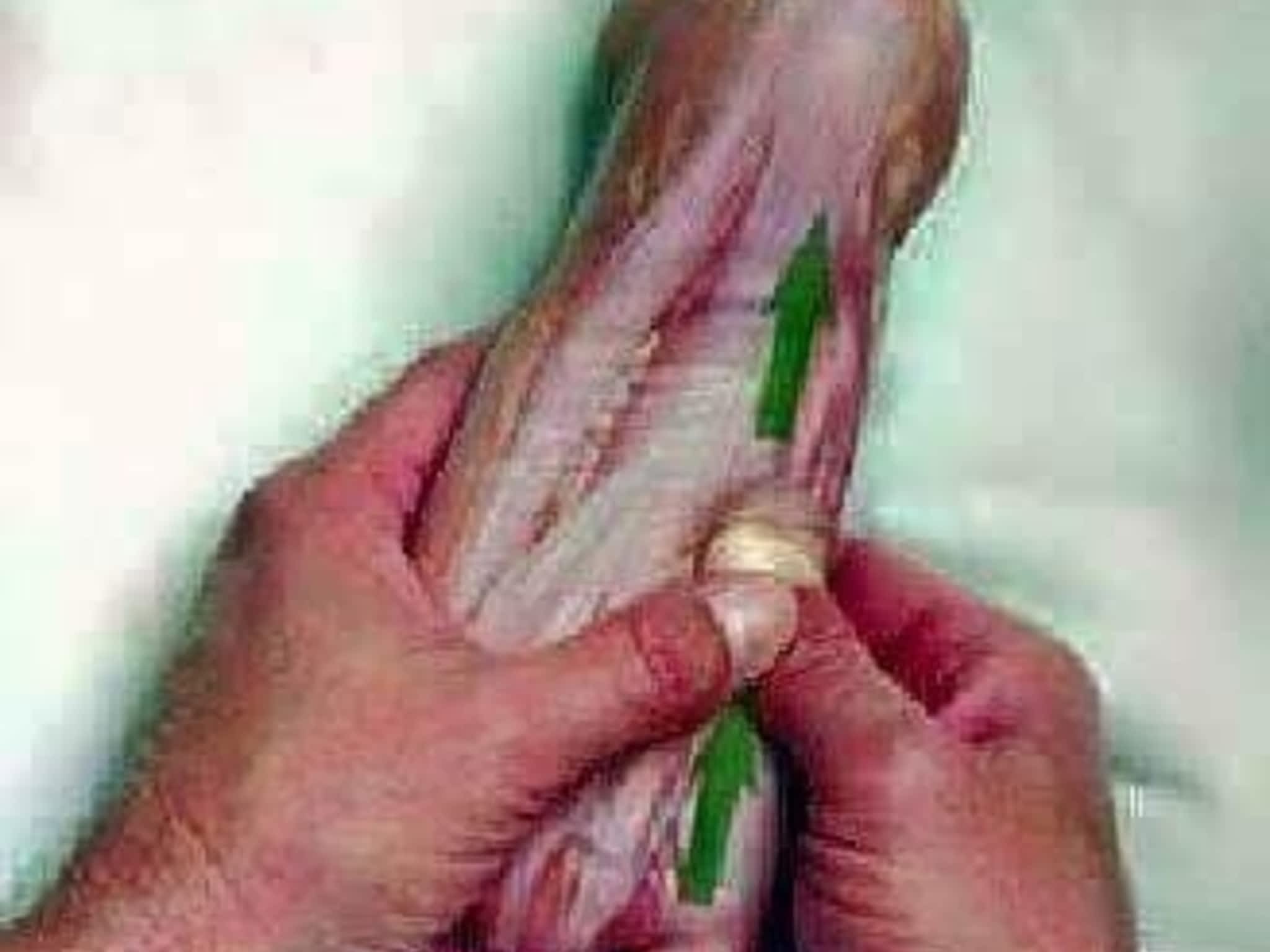 photo Charisma's Essentials