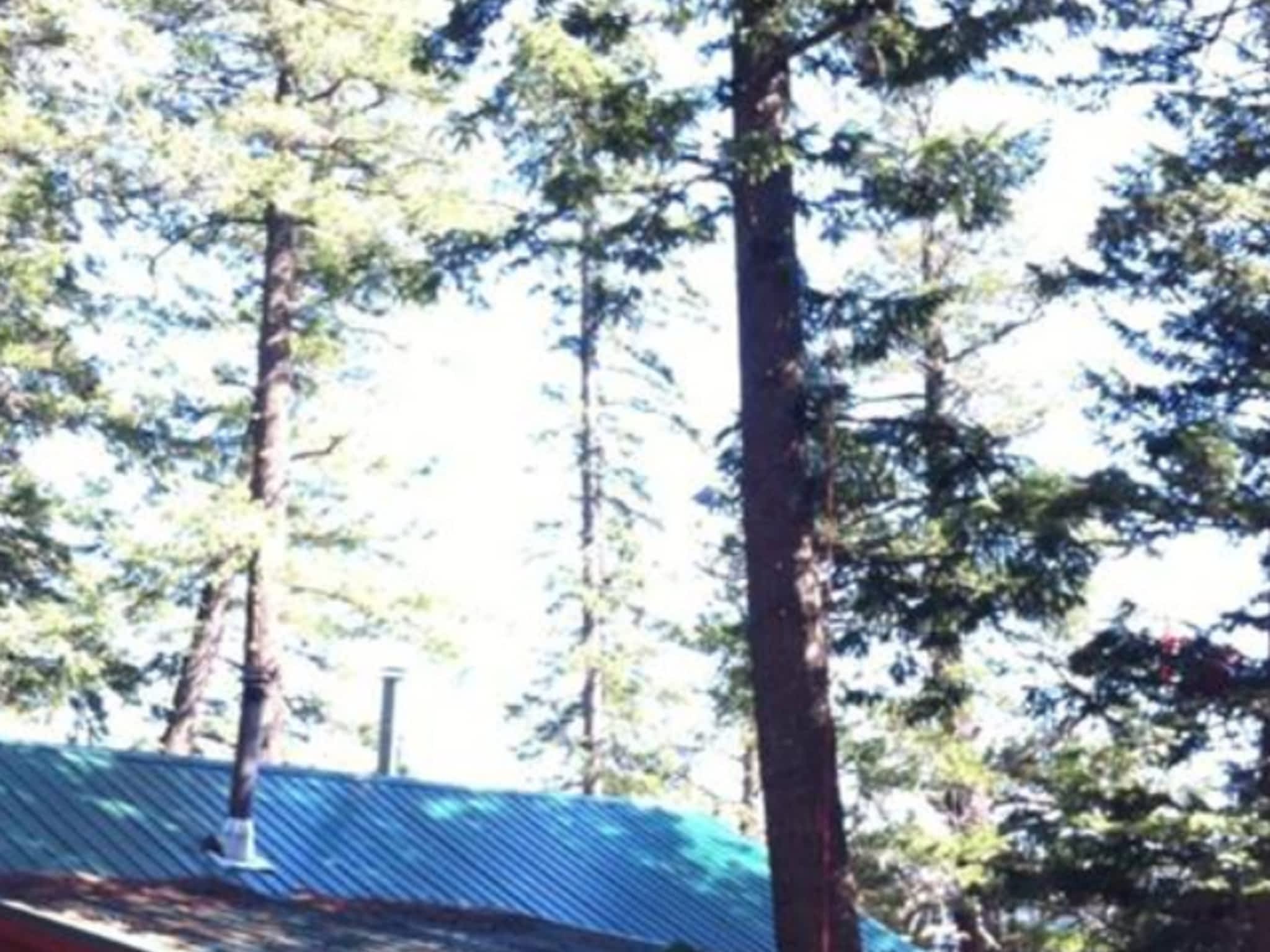 photo Bednesti Tree Services Inc