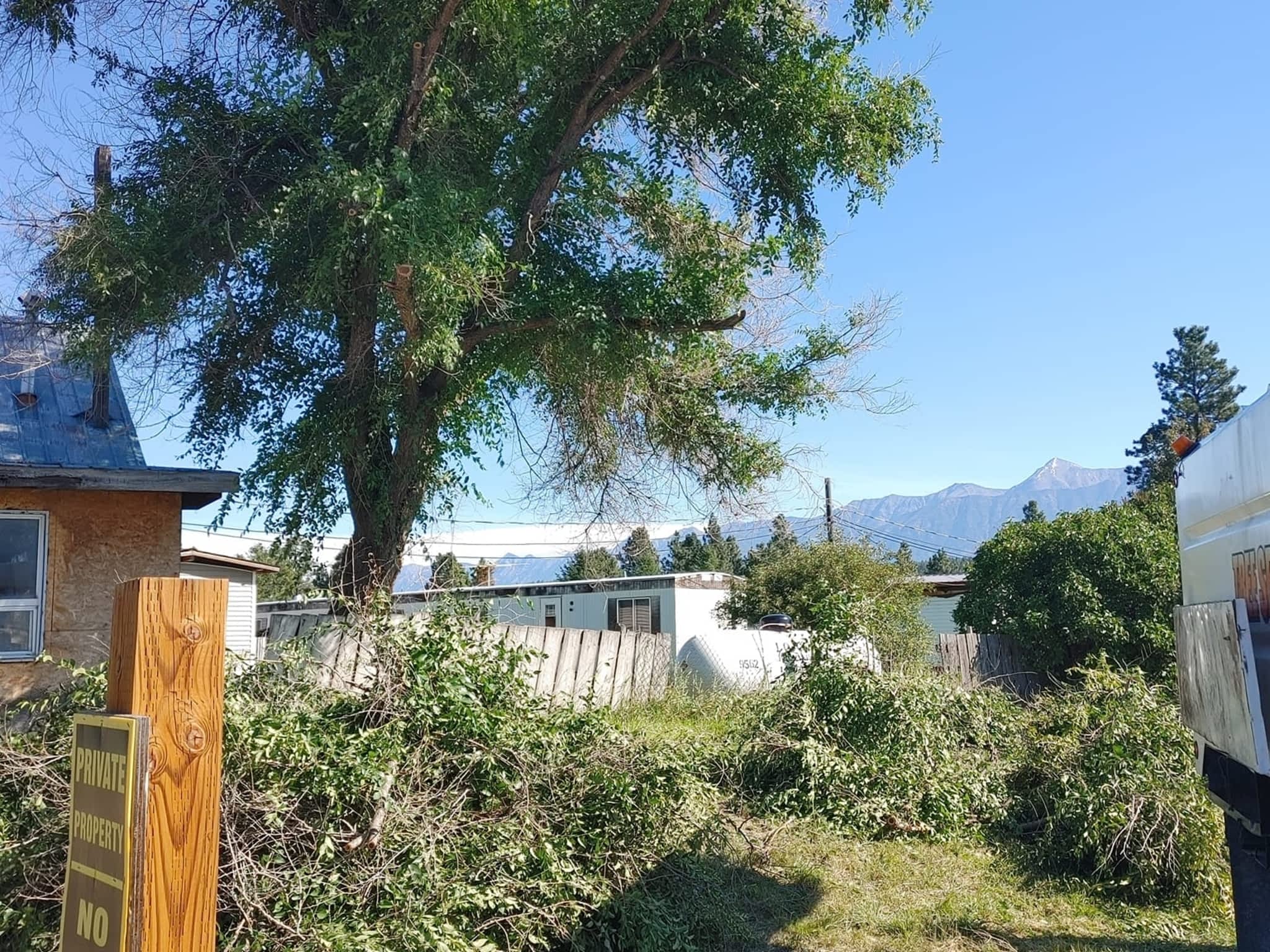 photo DW Tree Removal