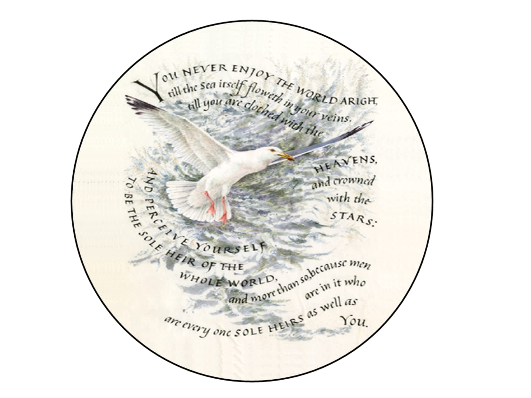 photo Domain Difference