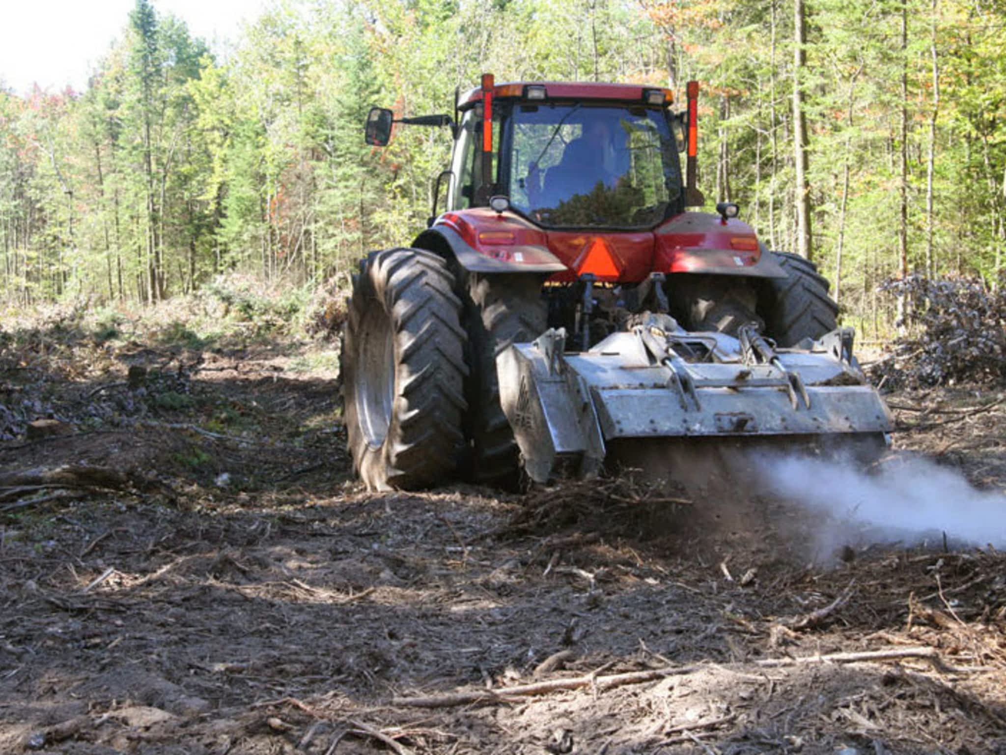 photo Émondage Bédard